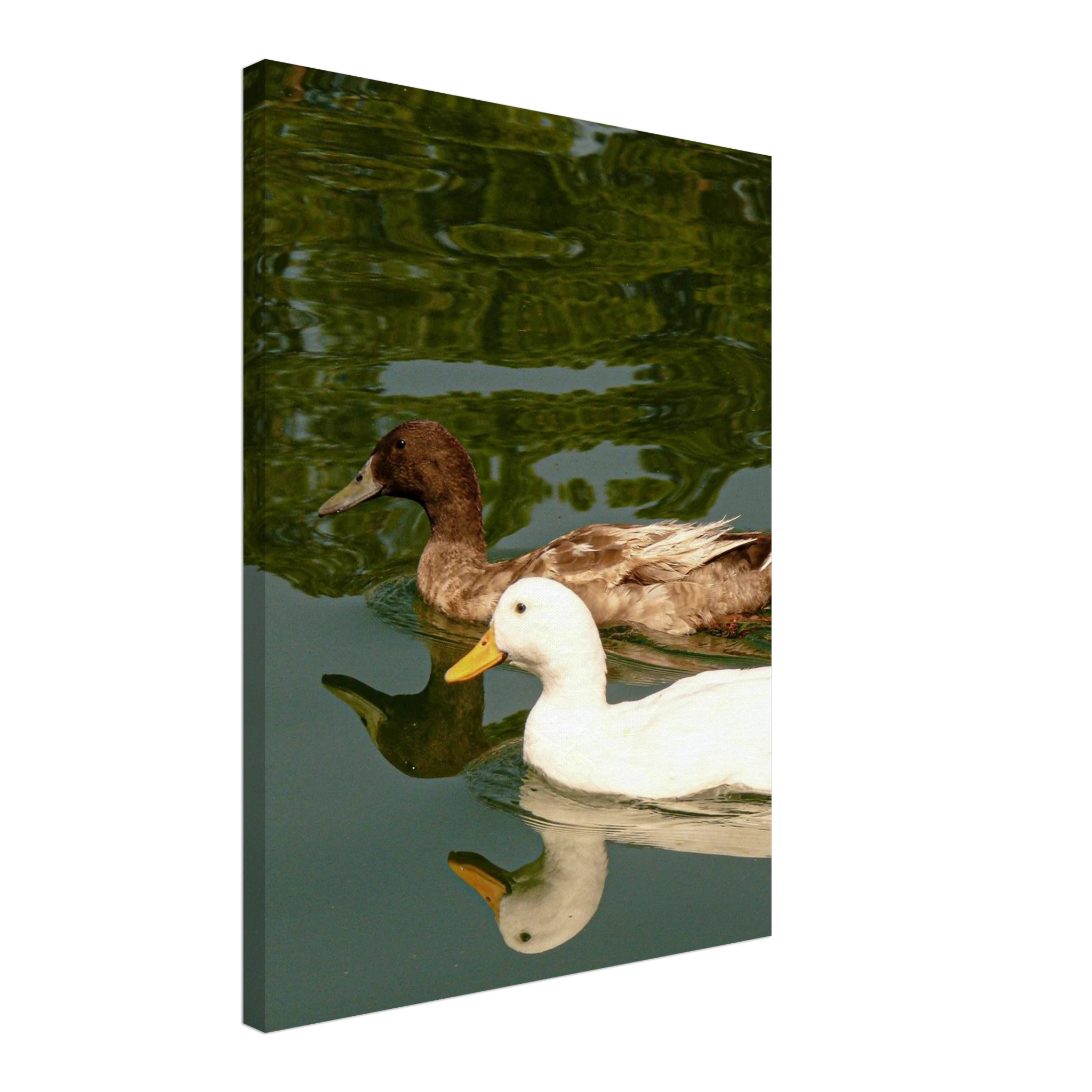 99d4c6b9-fbd2-4f18-9942-6ecffdc074aa