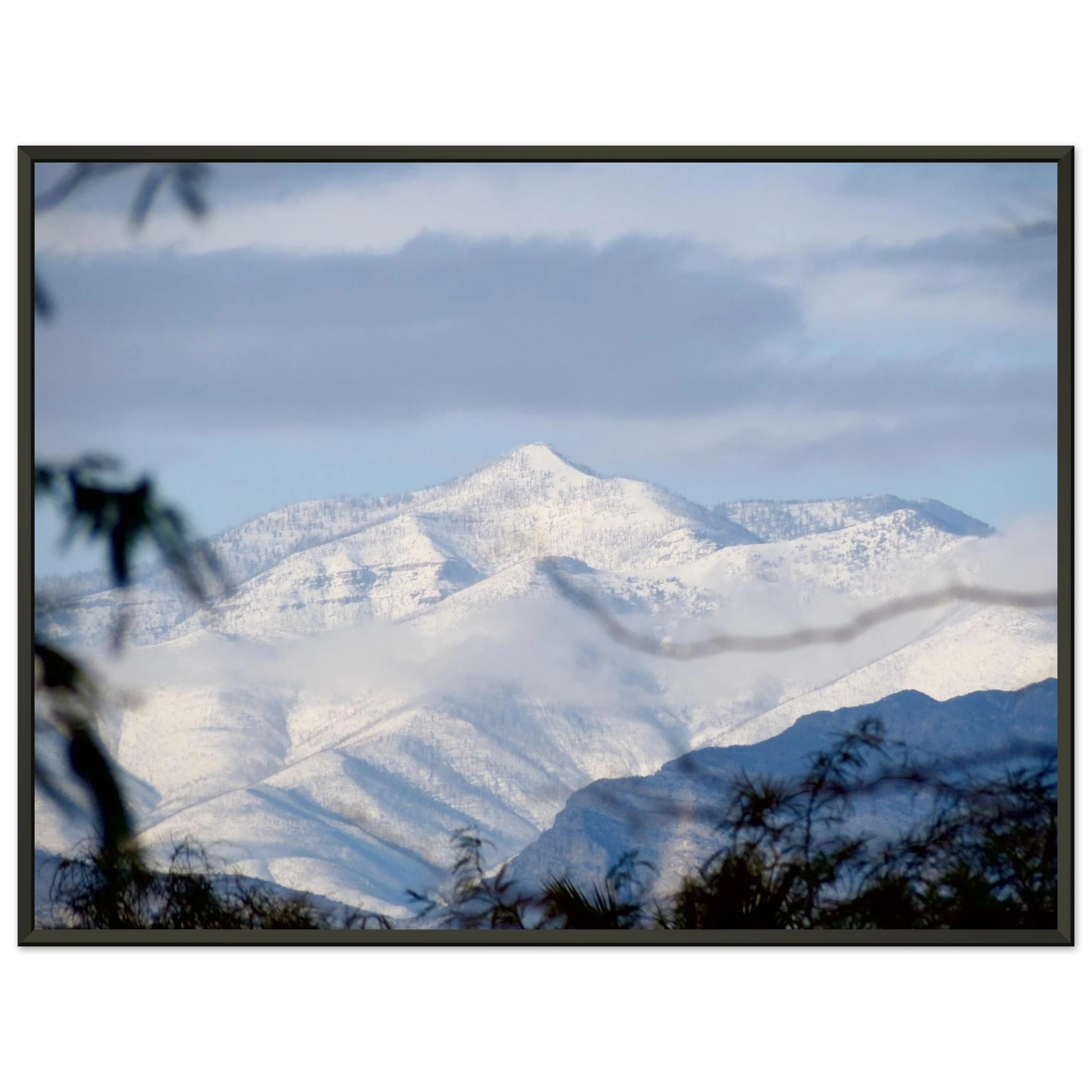 9bef00a9-3c74-4191-91ca-5dd00bd69052