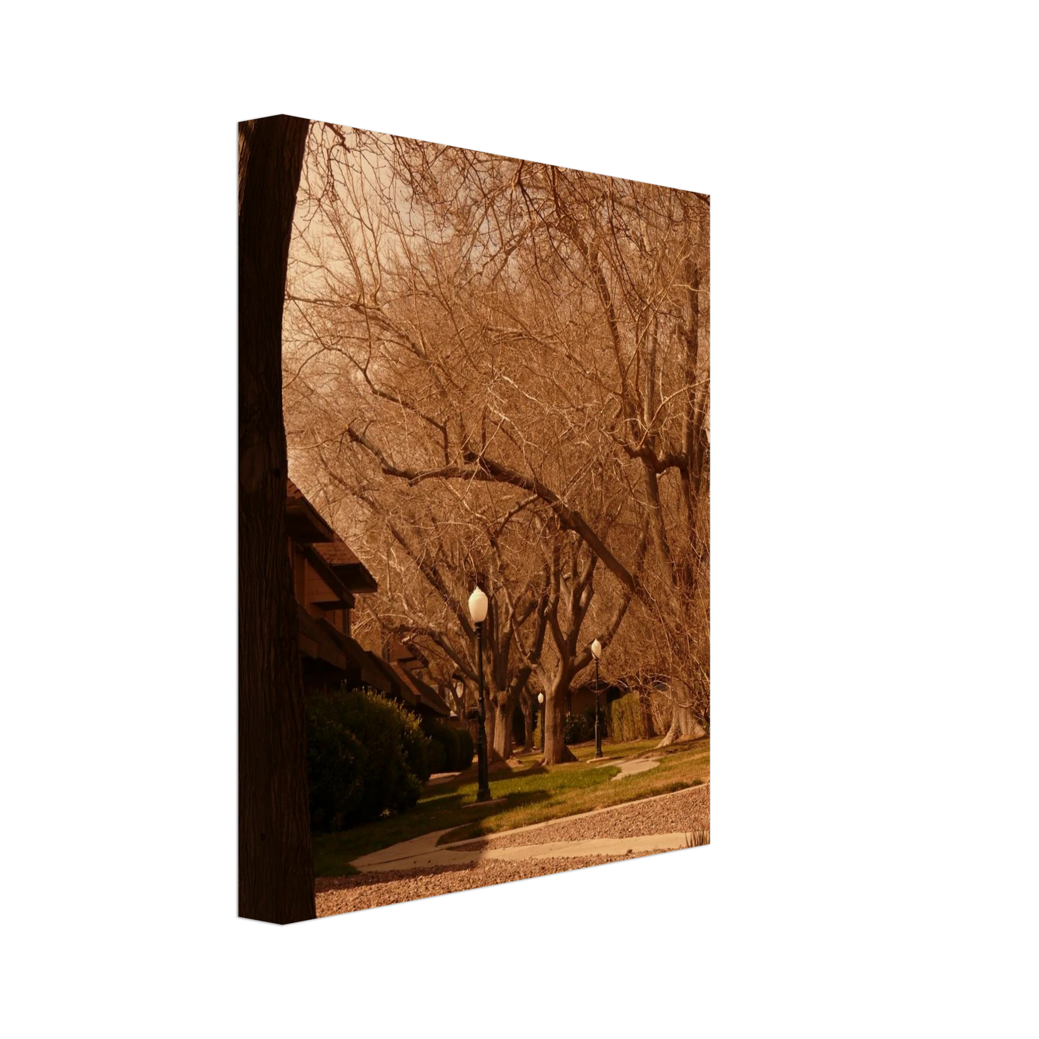 9de94260-82bf-40c0-bb6e-674c0e7eba45