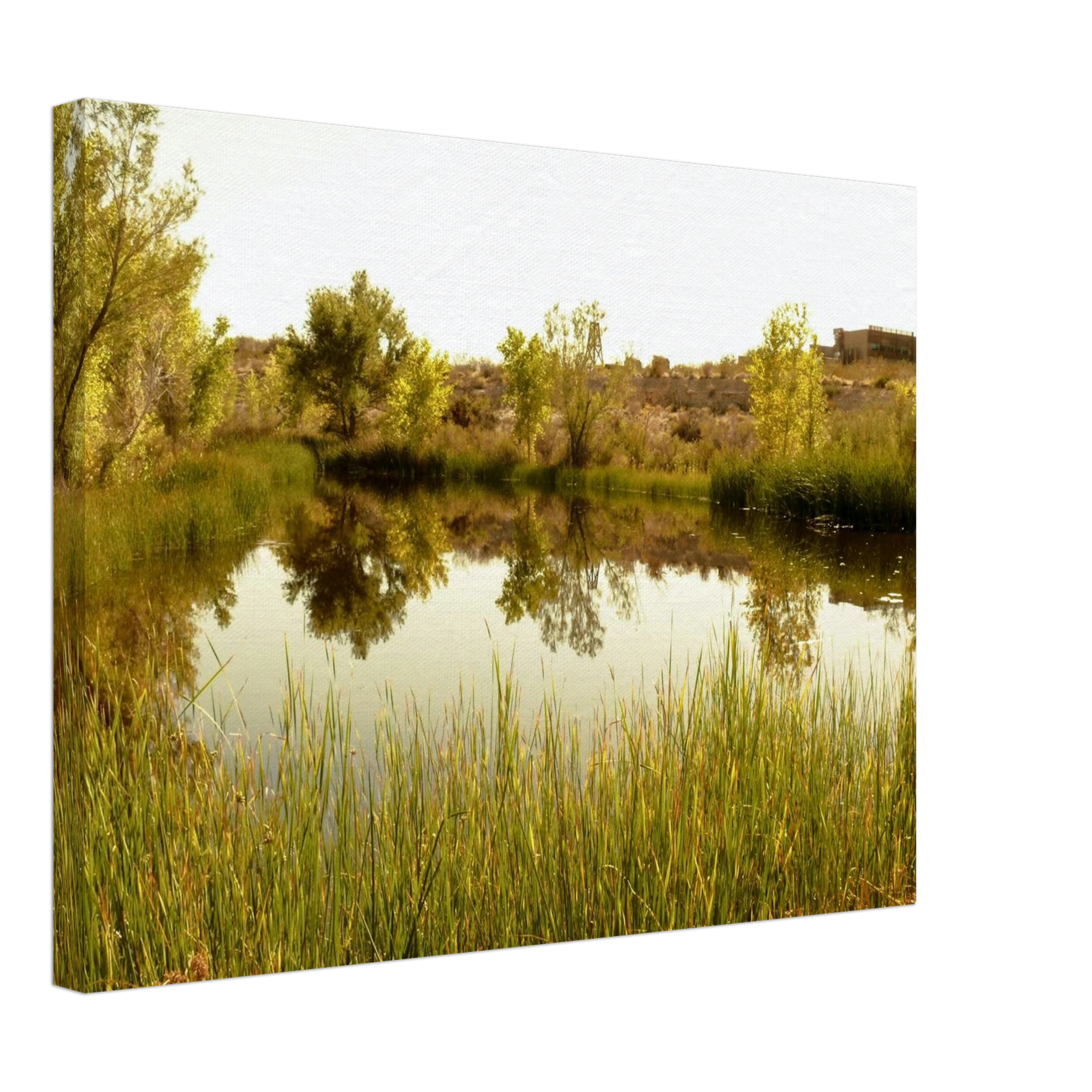 9f3f98df-164b-40fe-8e53-f2500ff7557e