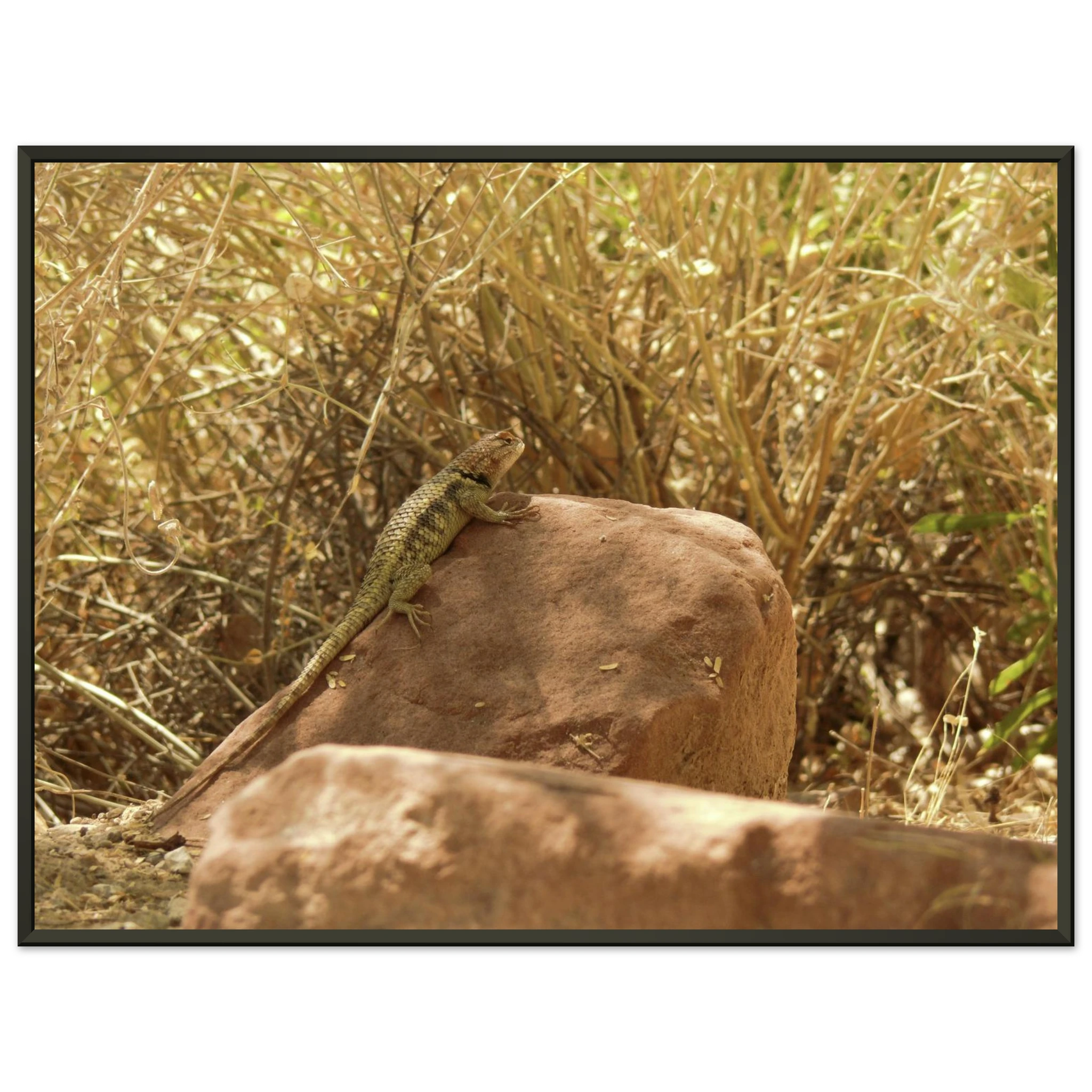 a863135d-e423-4116-b63c-c32b3ebdfd0e