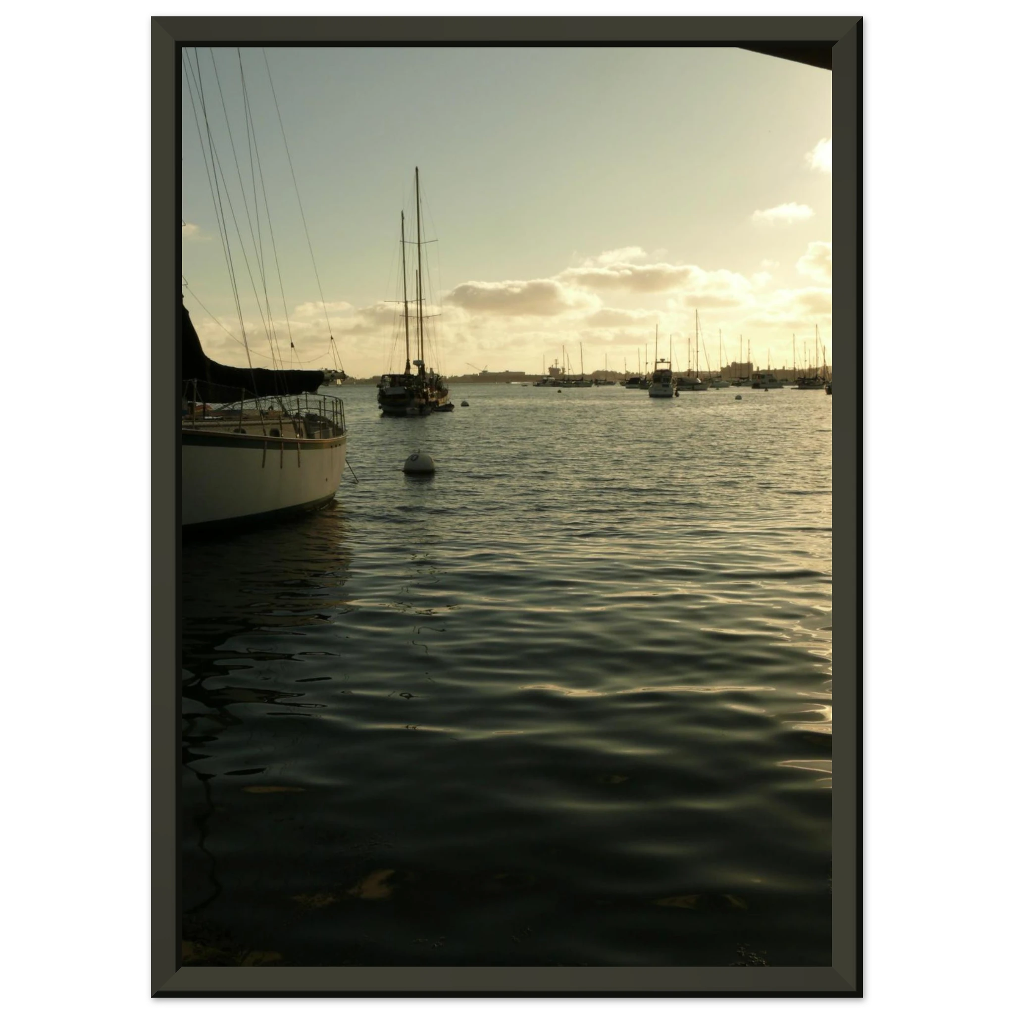 a9938ab9-79c5-4906-b796-9819c4be590f