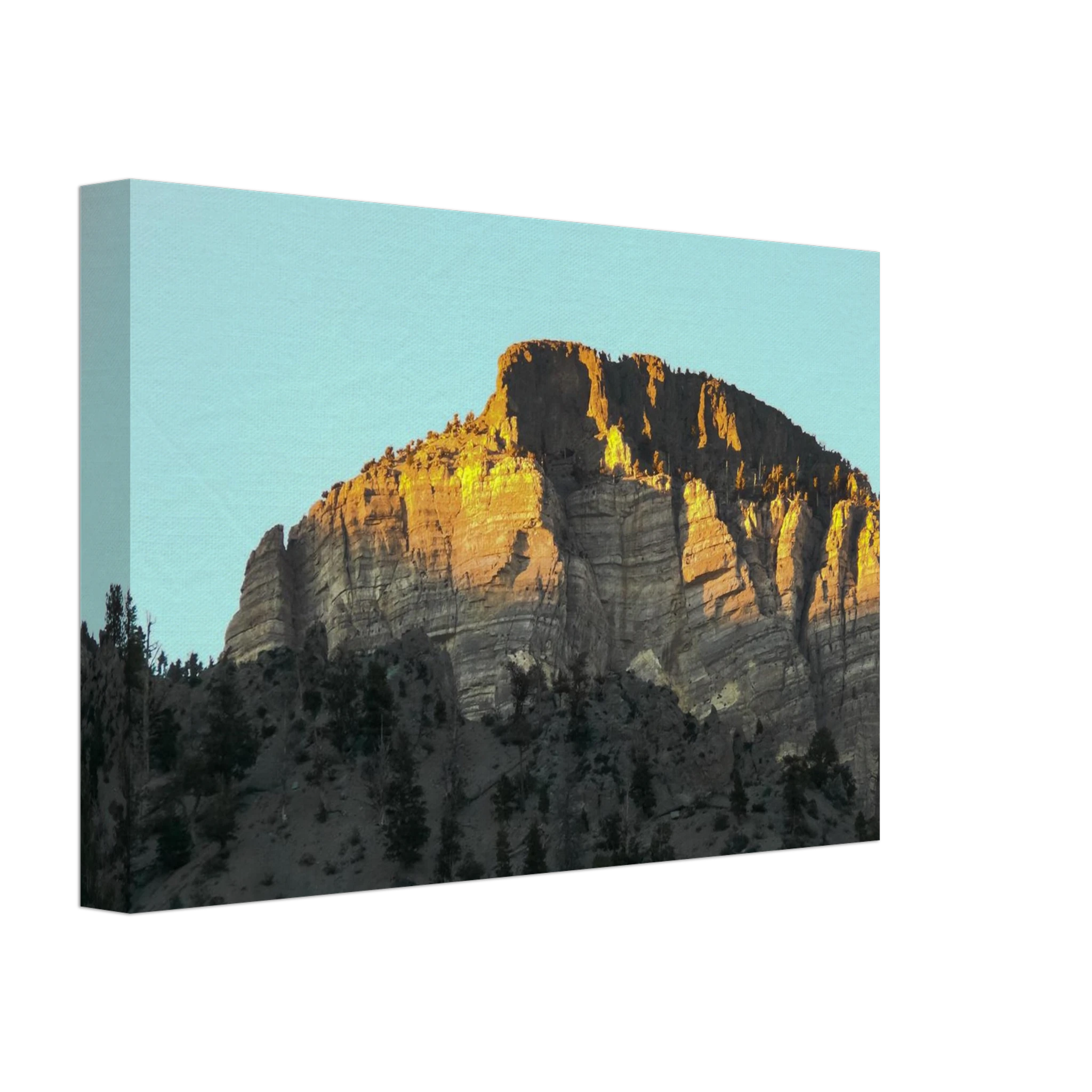 aa0257d1-65cf-4b92-ab4c-9f69baa3fc09