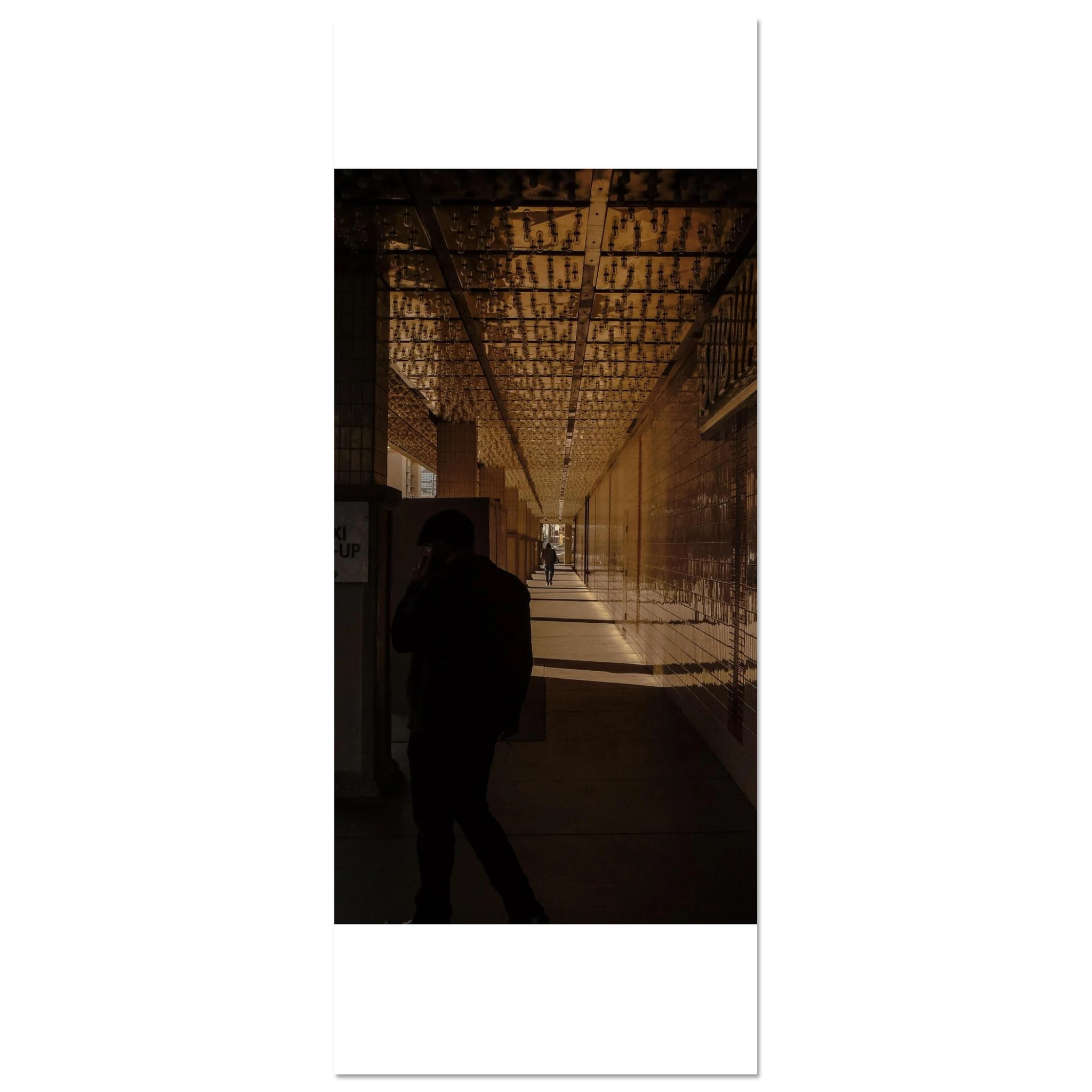 aa72d9a2-2659-4036-af32-85372f89bcd3