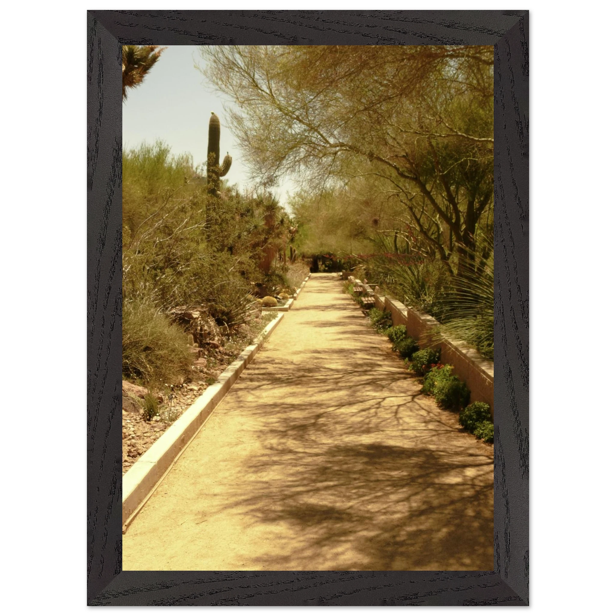 ad3f225e-f803-4735-adf0-685954fe9650