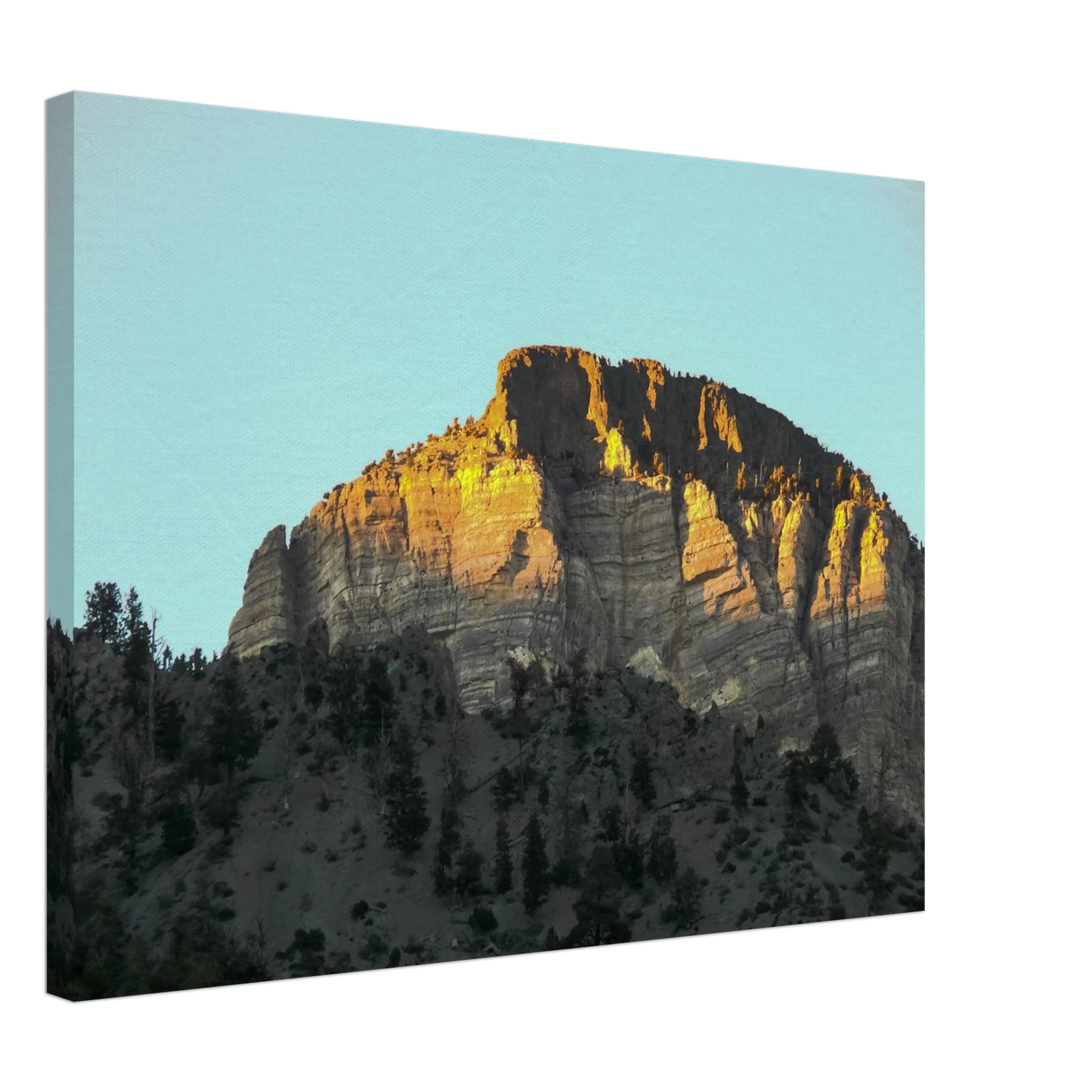 af15956b-8f6e-4fef-90e1-c04705e9290d