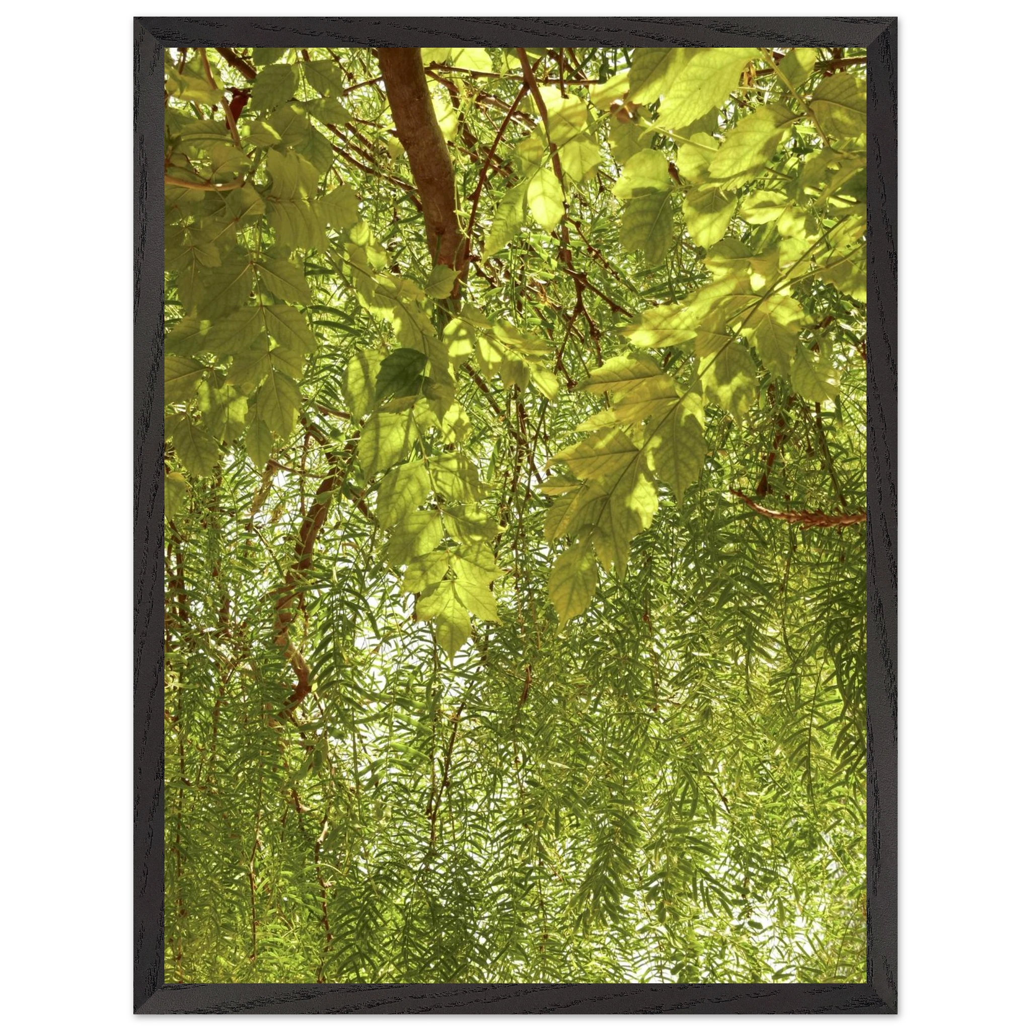 b089ec2a-7b74-48b2-ad74-bde8177decc2