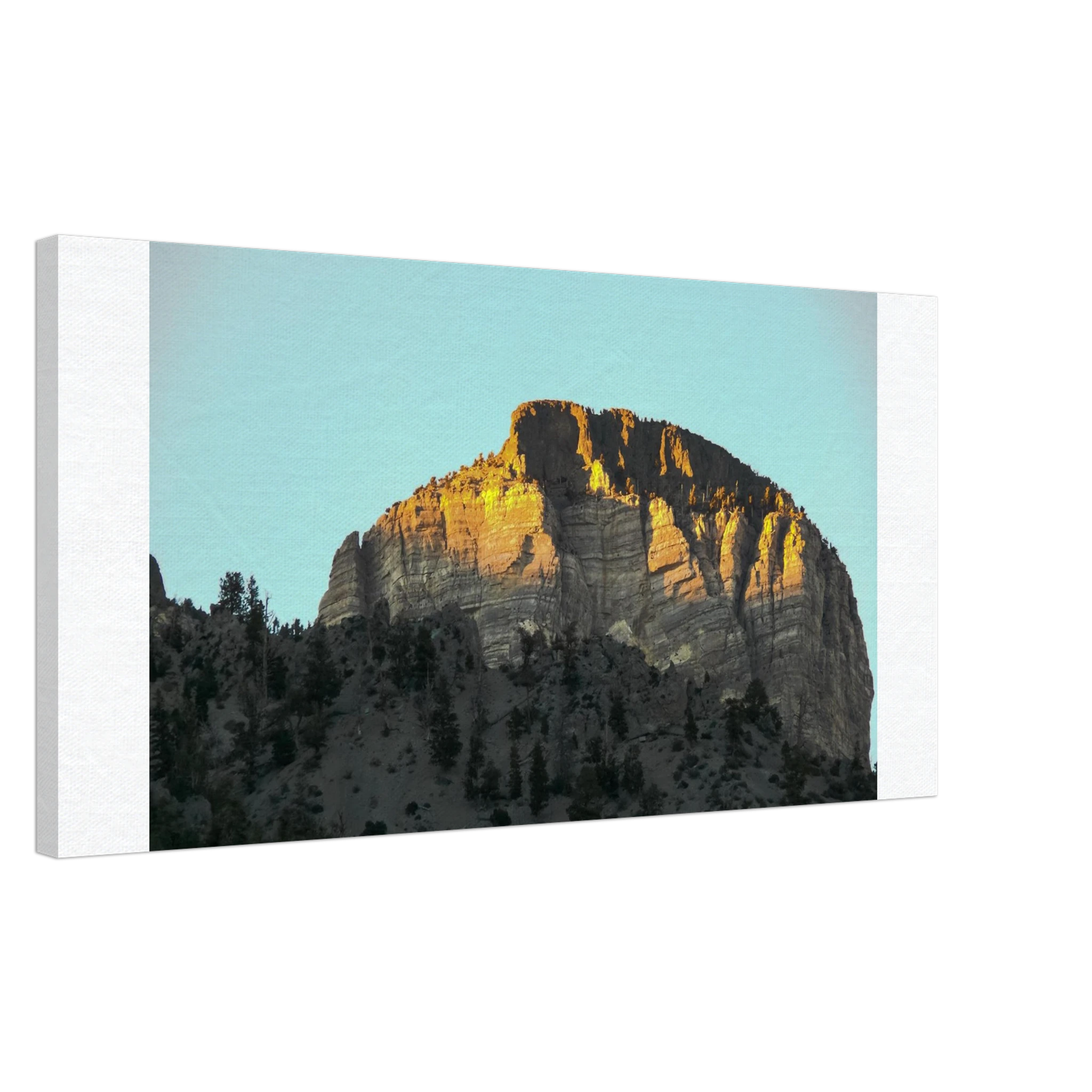 b1b6eff2-5ebf-4712-ae4c-4adee745fd60