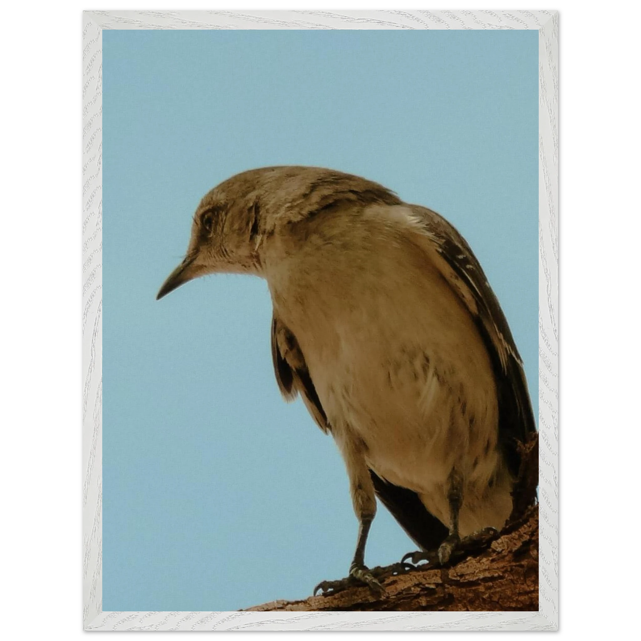 b43be56b-4ca5-46a5-9702-07daea7a0a5b