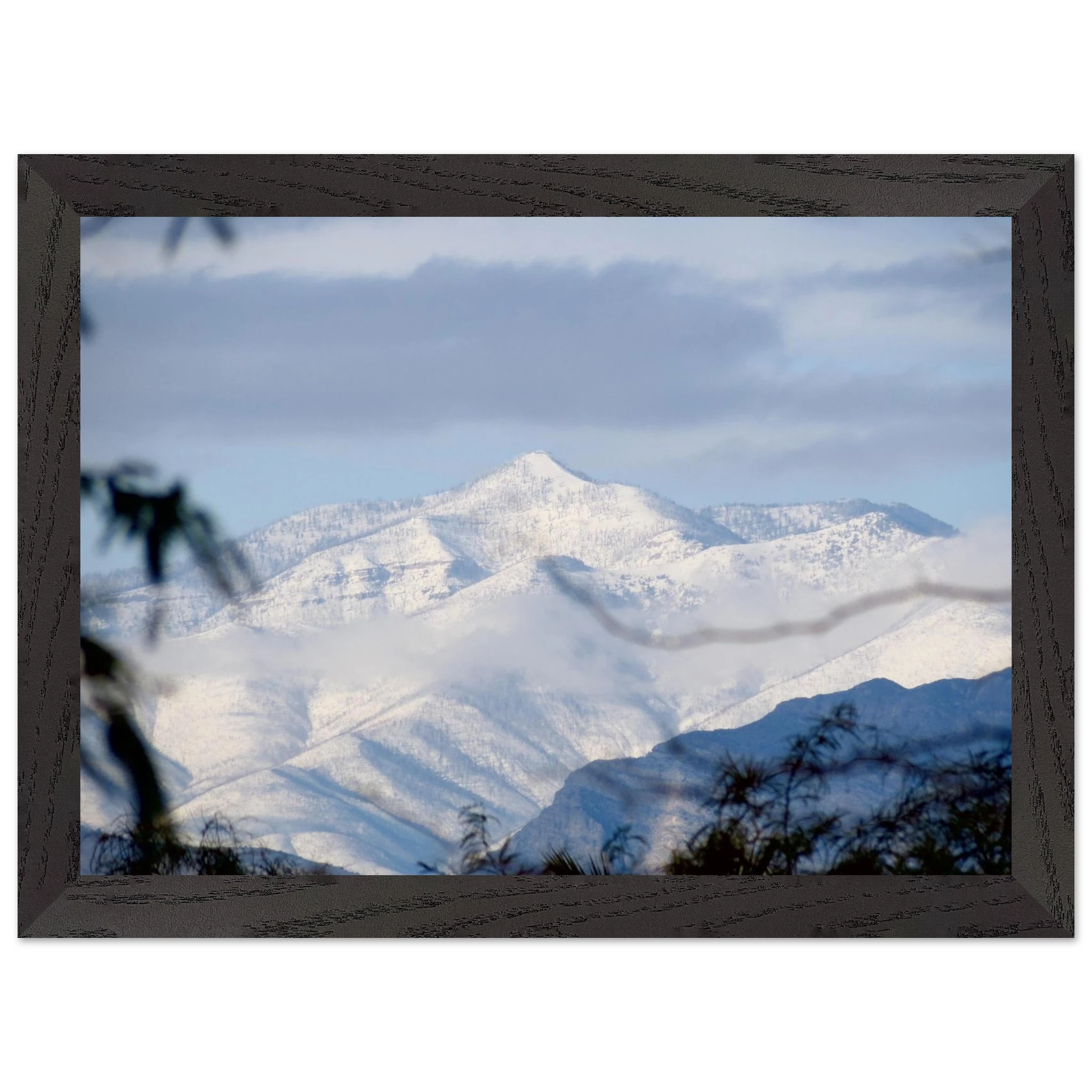 b521b191-99af-4fec-98dc-9f4ecf6b73e4