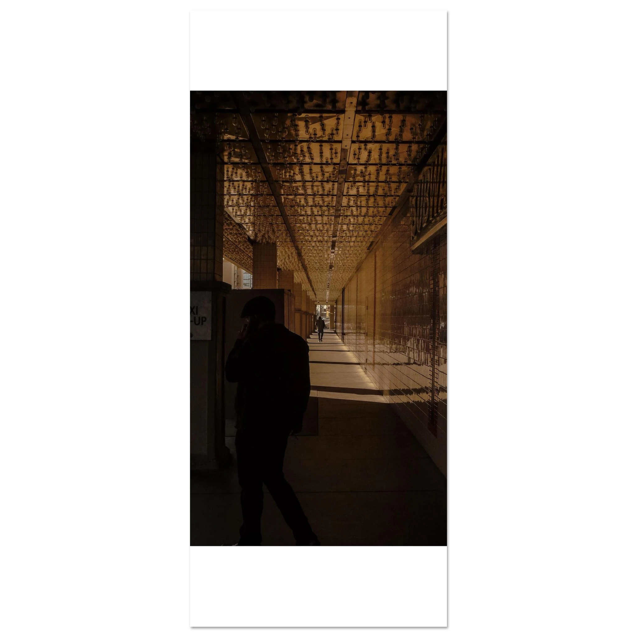 b70e5697-c4f1-46fb-8eff-d592b8736f49