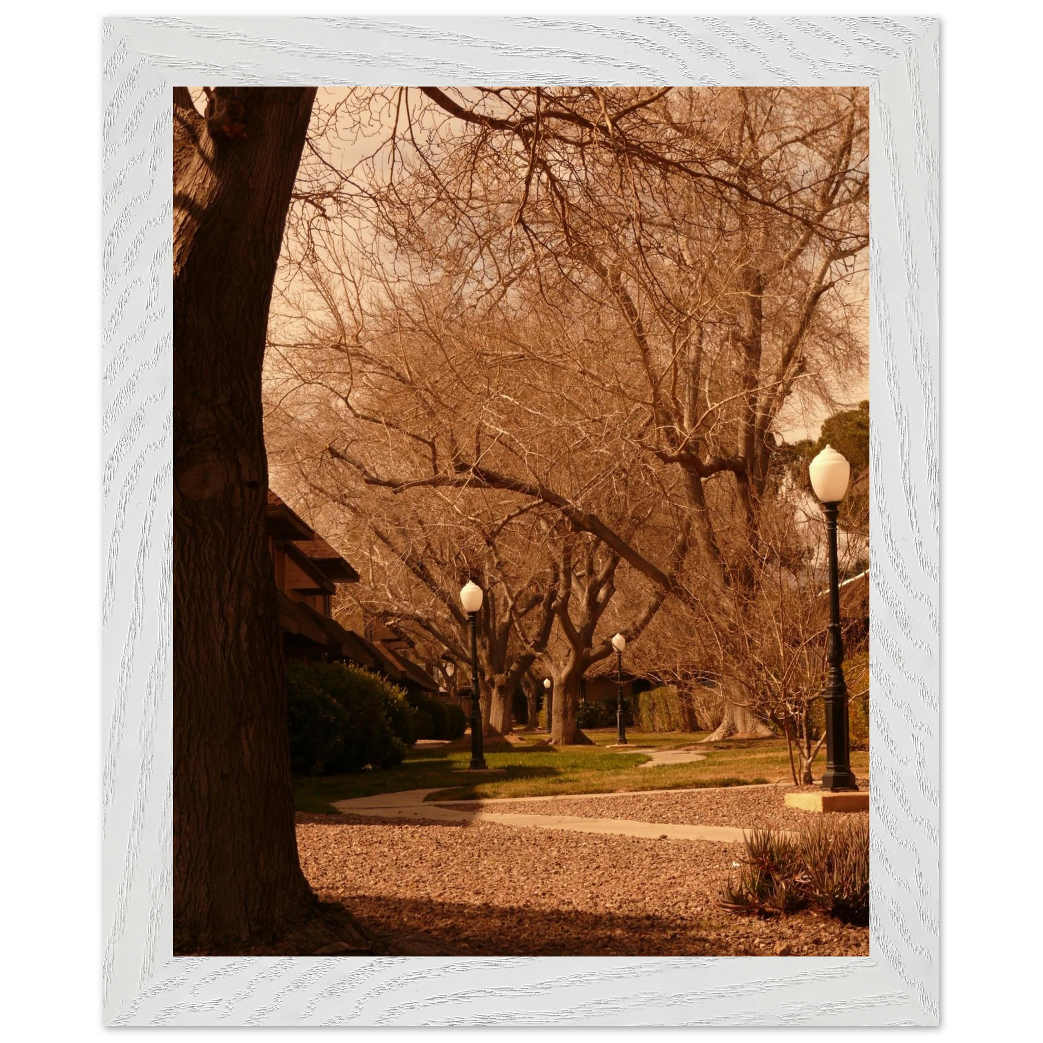 b8111563-4d26-4fec-abd6-9a4a6841071a