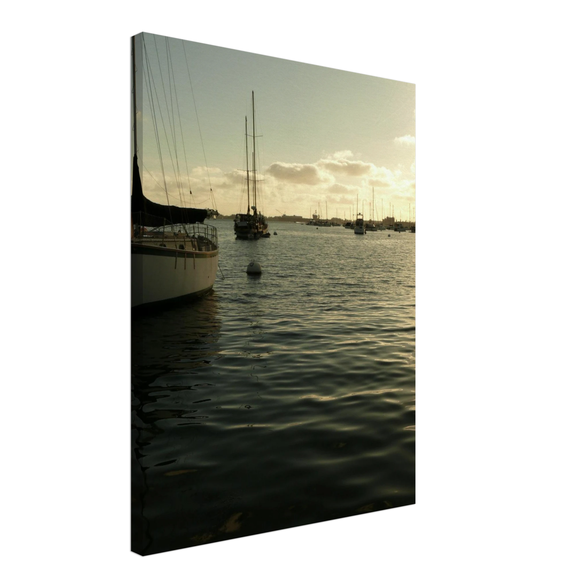 b877a80f-3e40-4d09-af6c-2c87afa34b8f