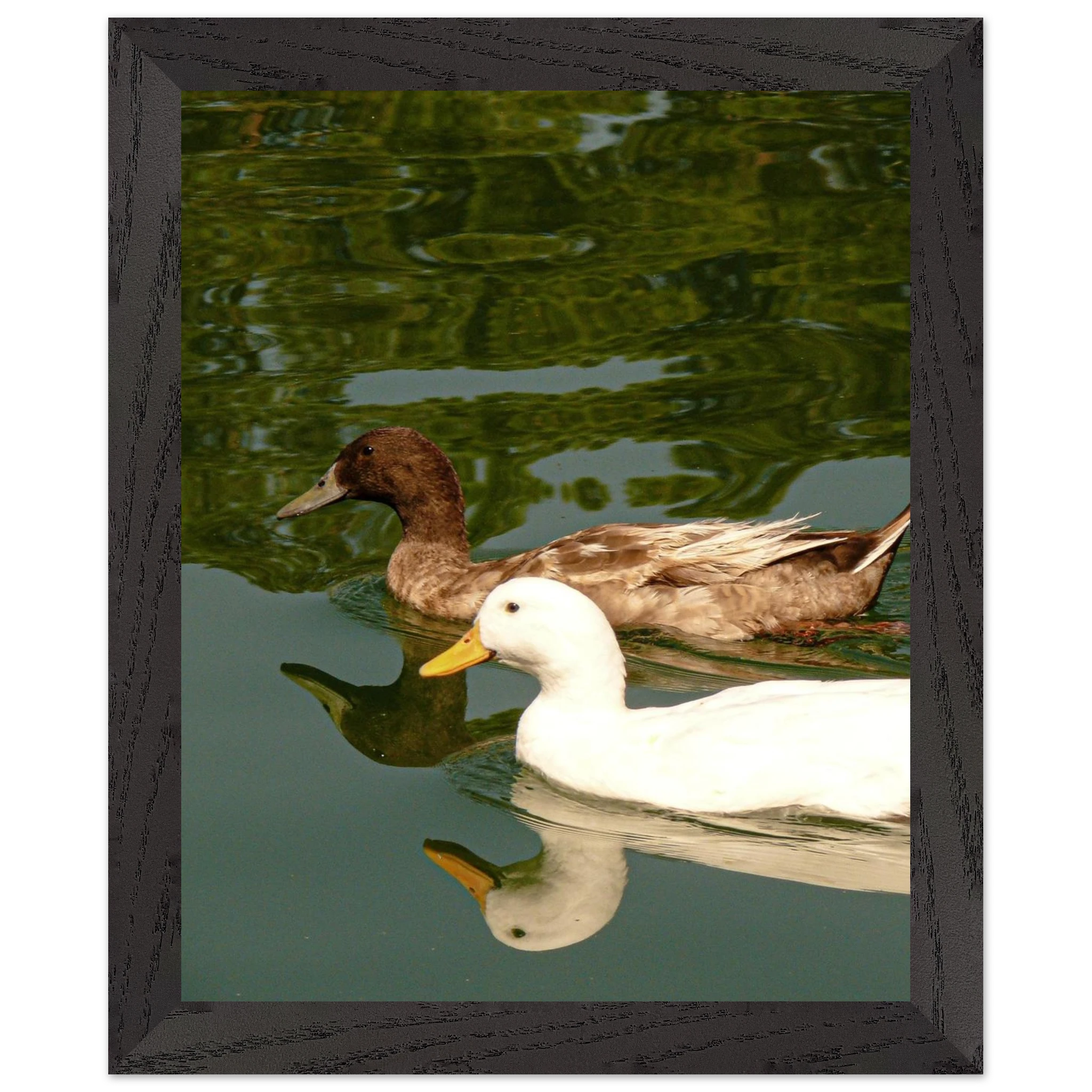 bd75ce4e-f351-4cca-8912-03d98f6bded6