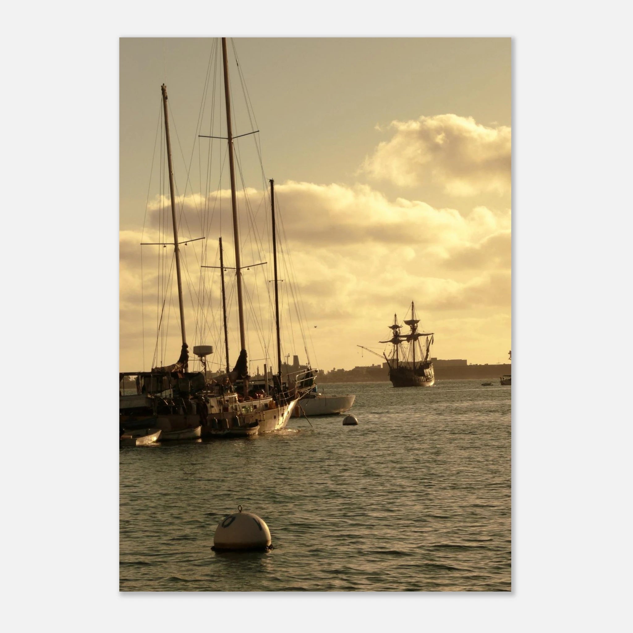 bd8883a9-cef2-4774-8e1a-eb5b5a7247ac