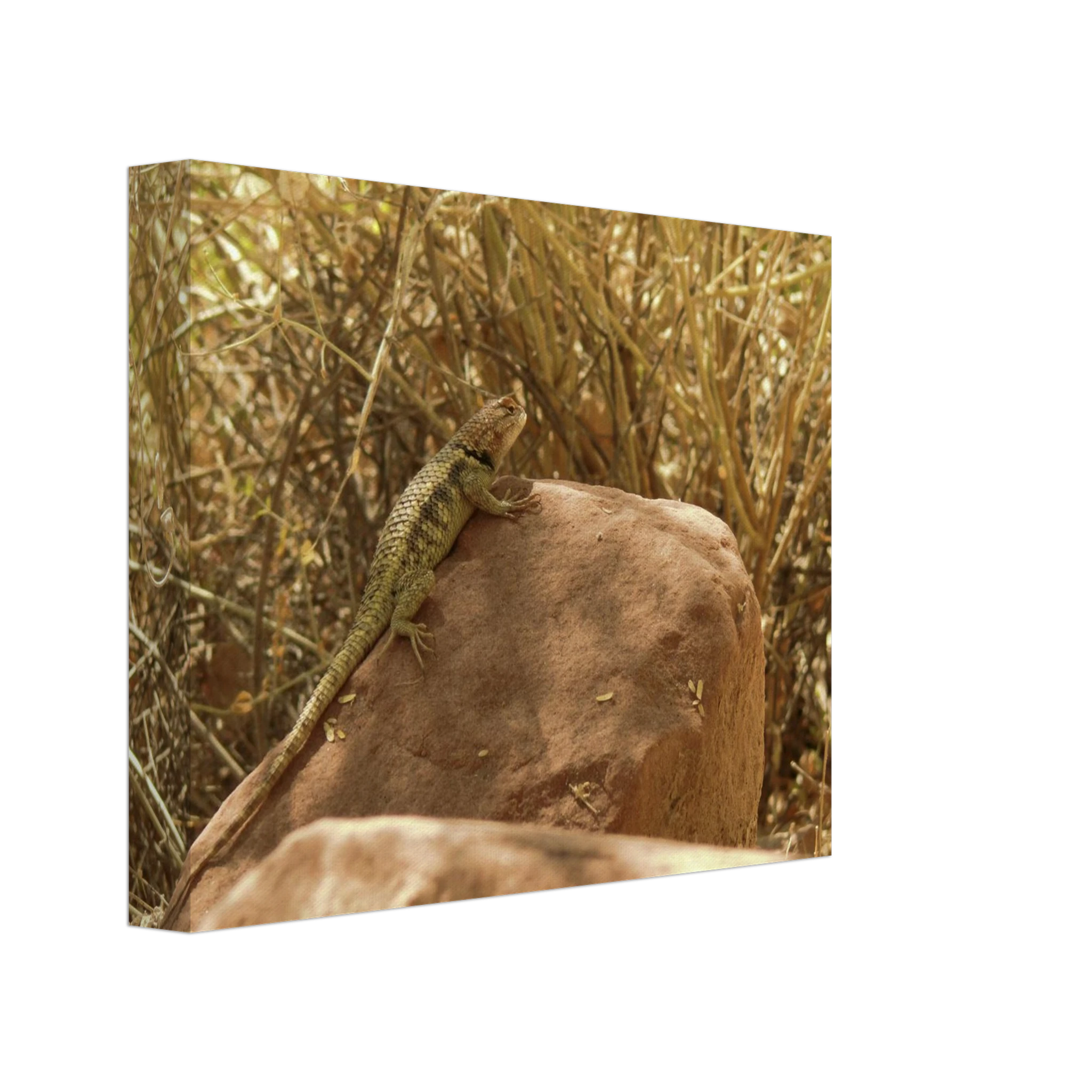 bea9220e-2817-4101-ad50-4fca73eef491