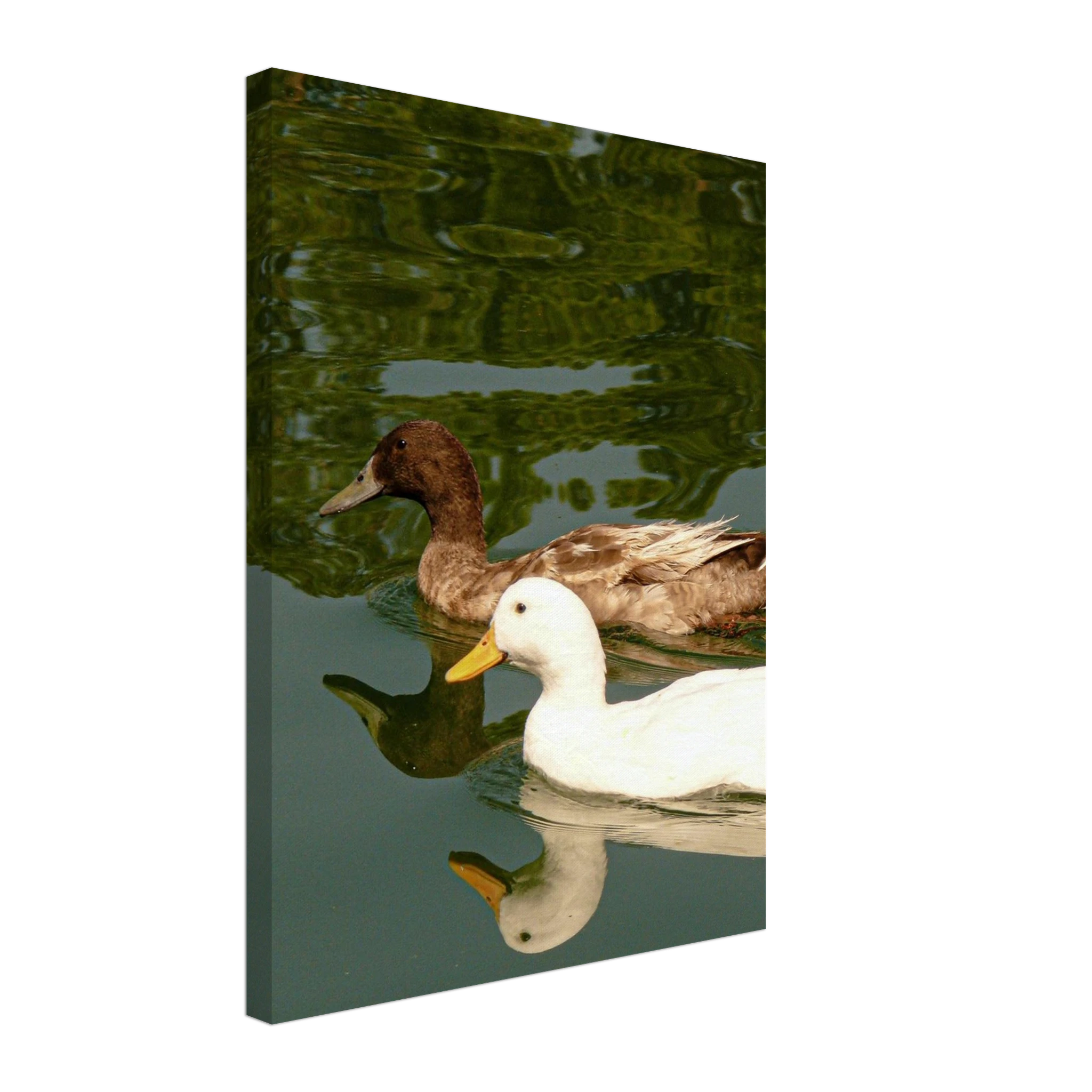 bf85a3db-2015-4fc2-891a-353b63c404f6