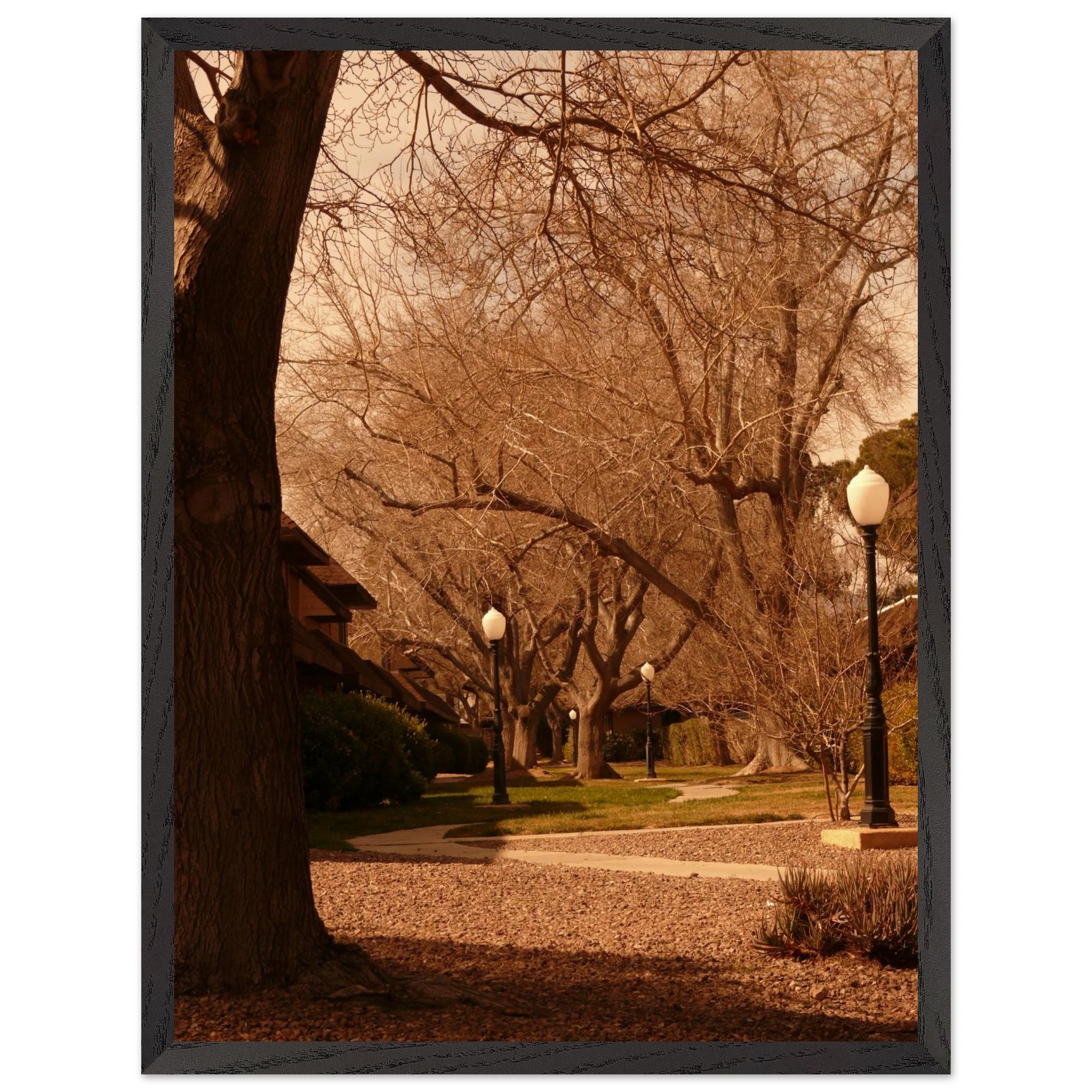 bfee31bc-06a3-4976-87c0-d9d77d79a9de