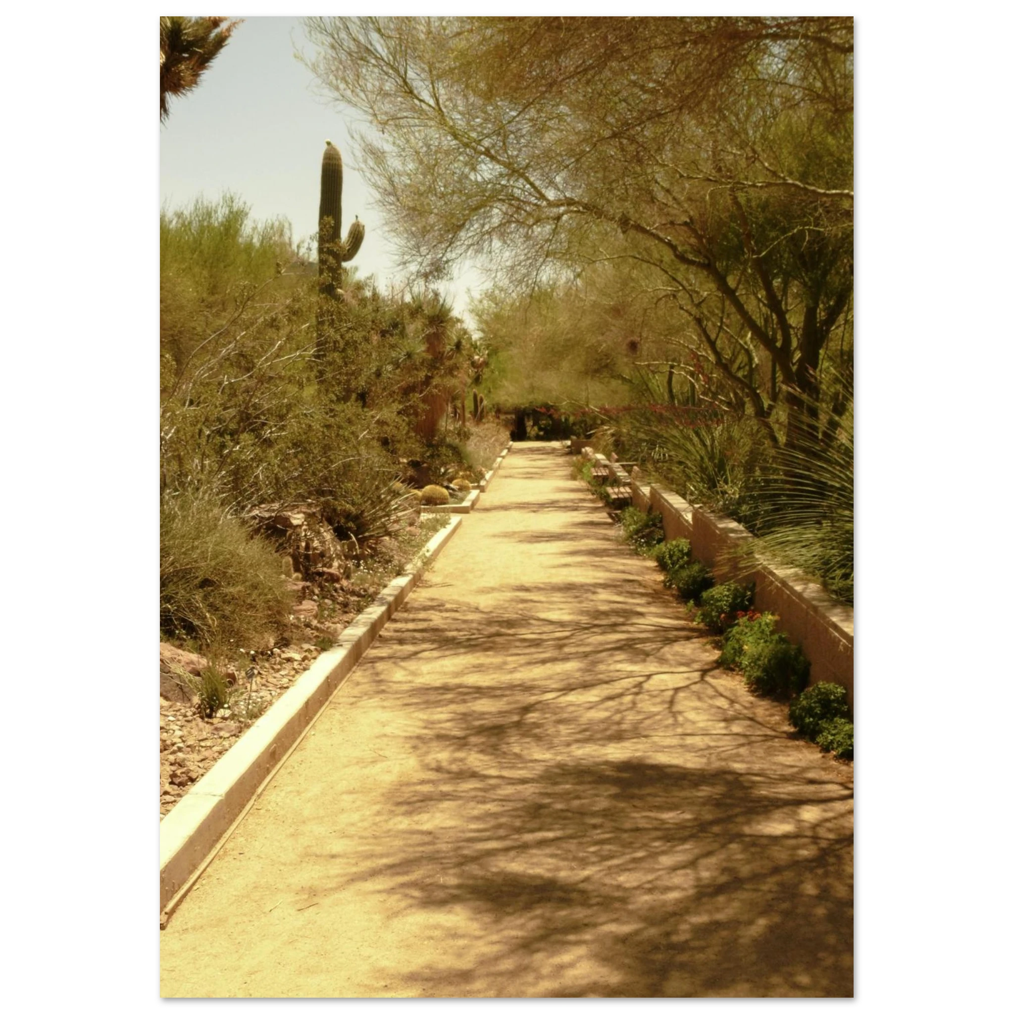 c0289432-e905-4290-adb0-b44898226a5f