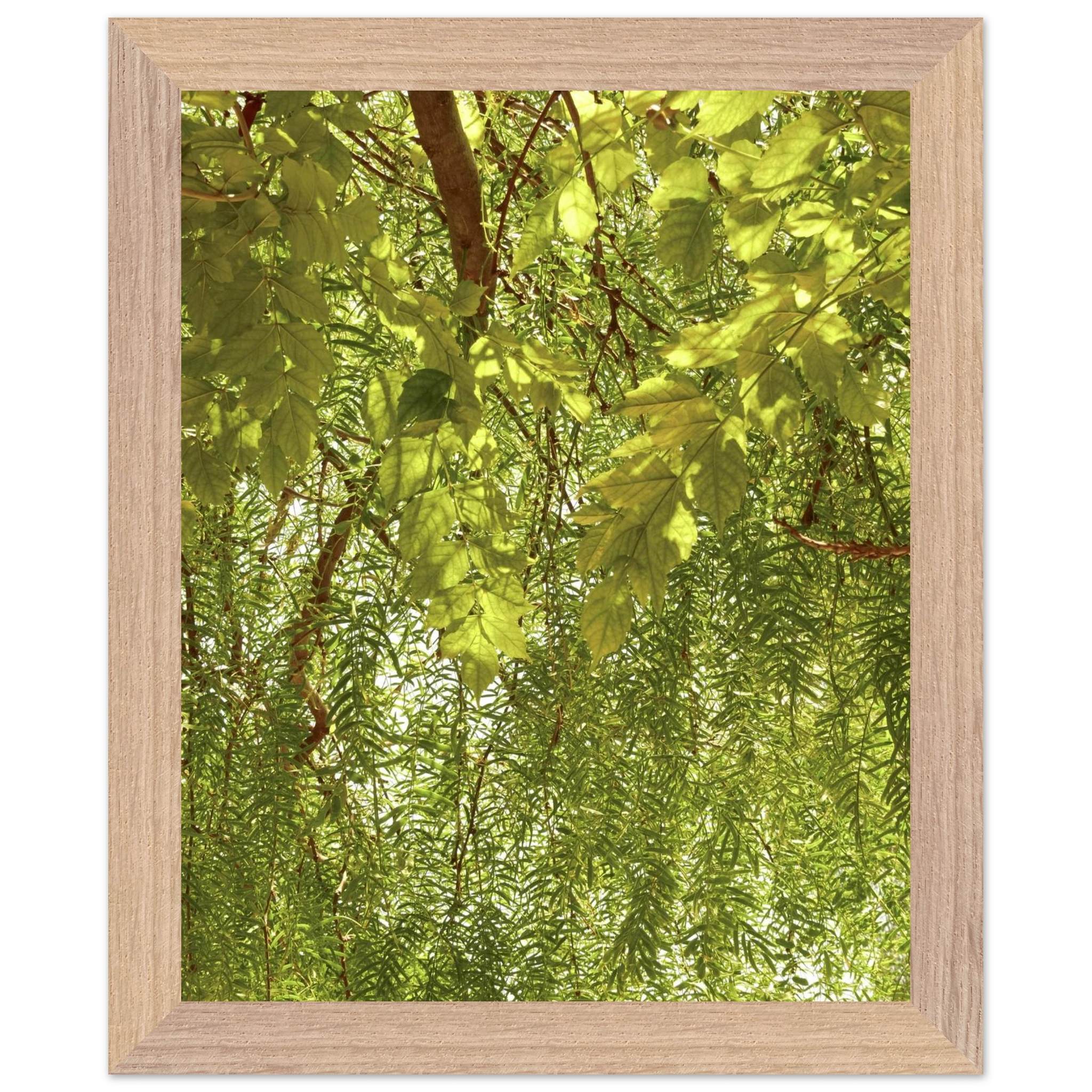 c15b3e46-6993-4424-becc-db8229a5d6b0