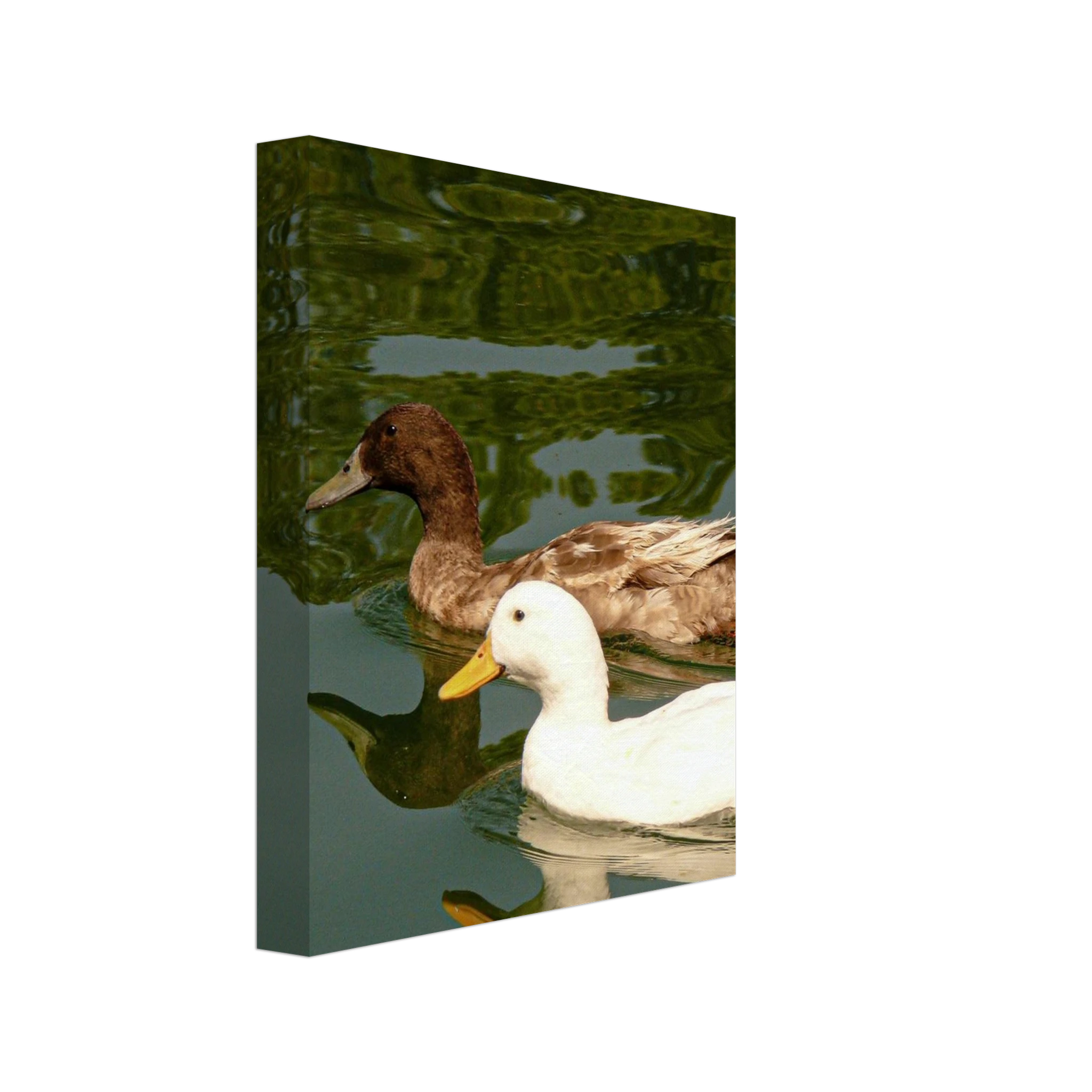 c2c8ff3d-351c-4fd3-982d-2e33c9b63d80