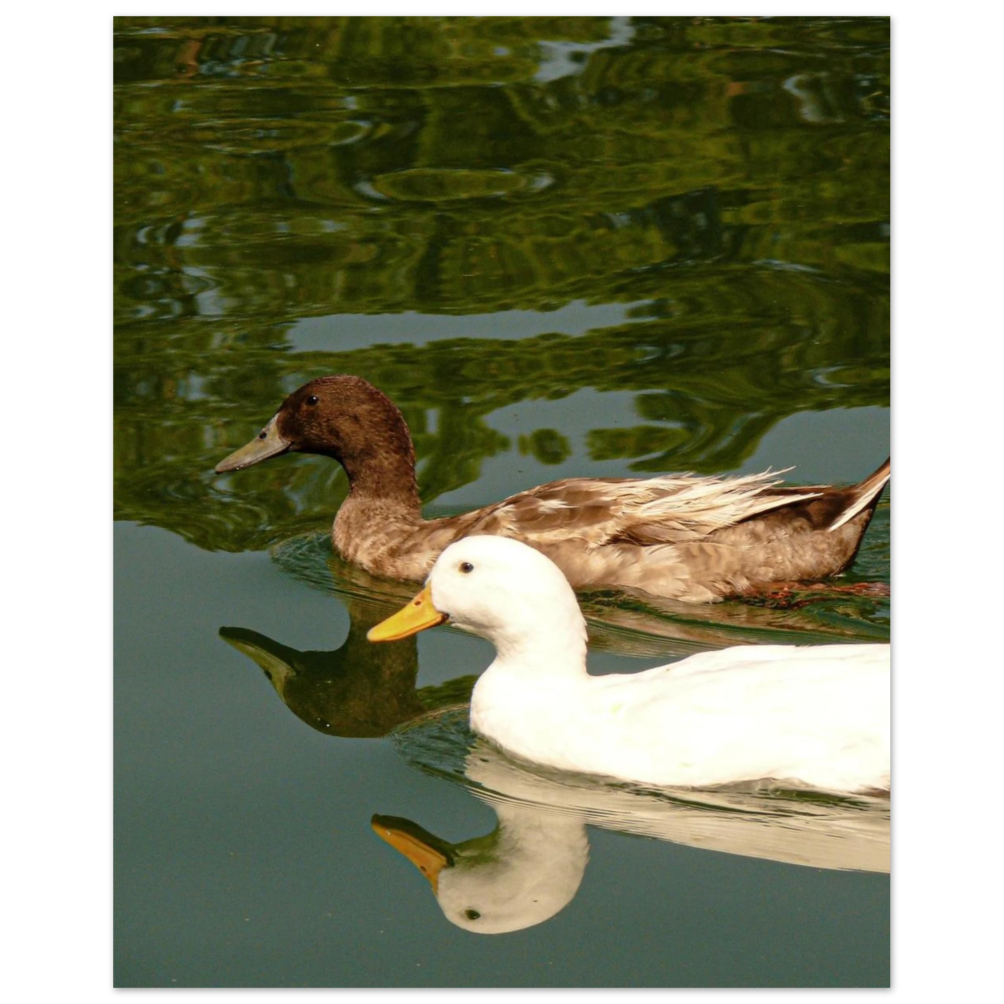 c4cbd1d5-3847-41fa-87fc-afedae71cdb2