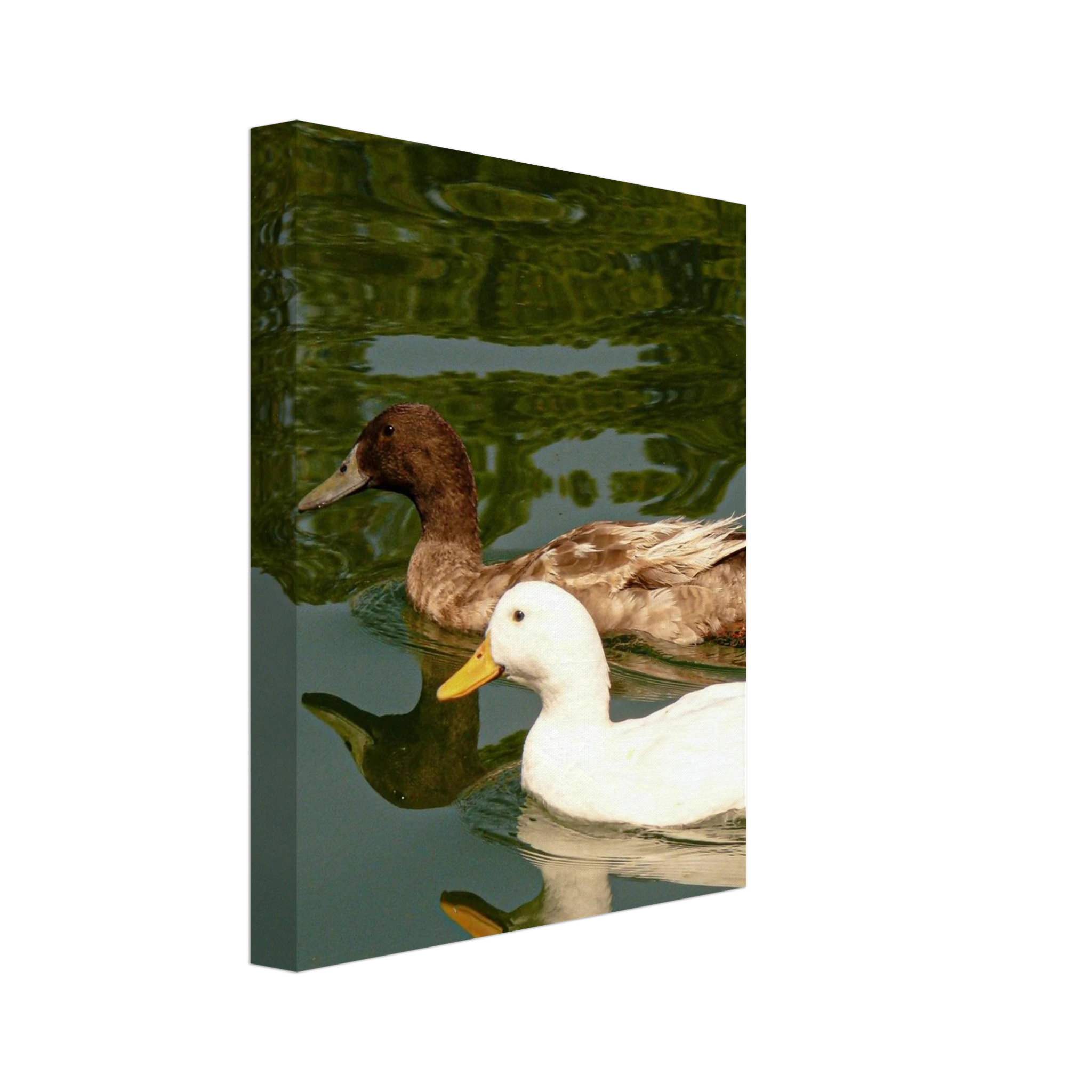 c542ea30-4124-4da4-926c-cb953f648509