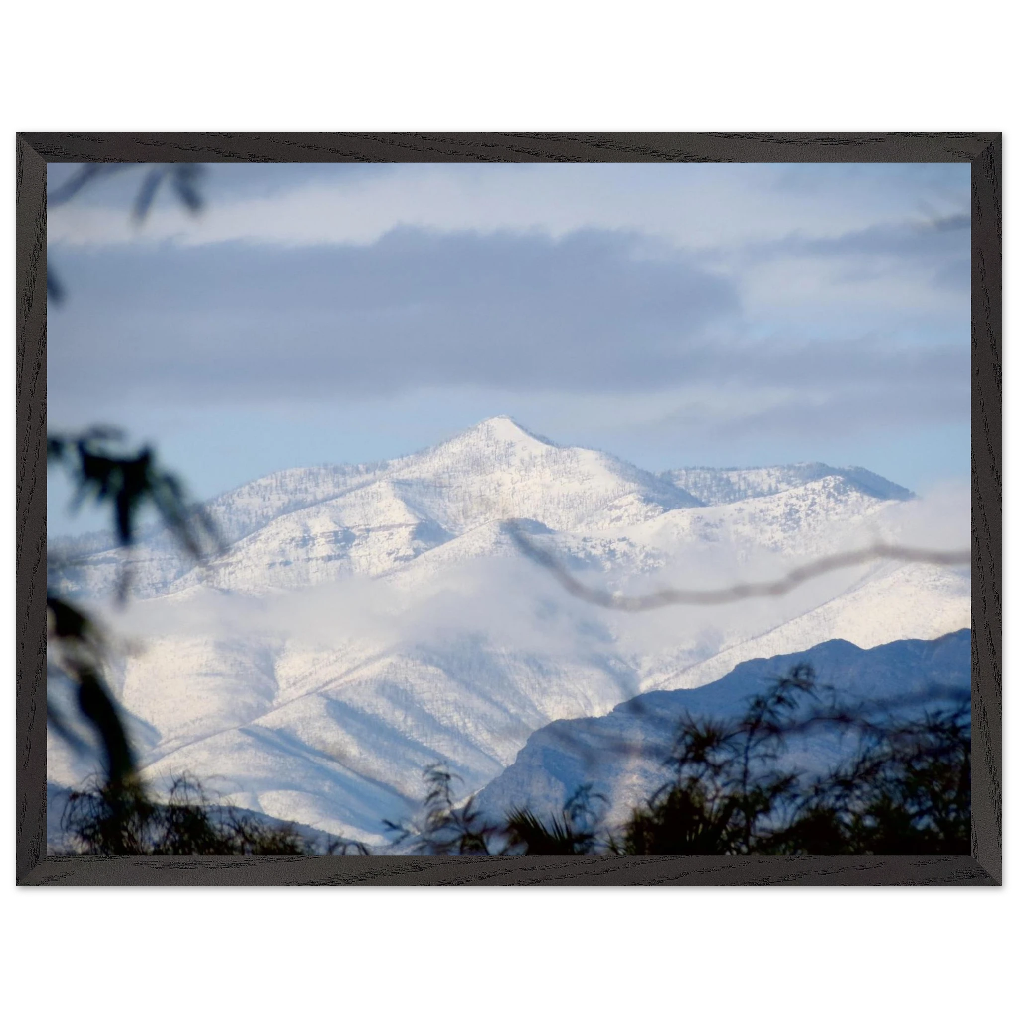 c6051de6-13df-4866-acda-f92e8ed73e23