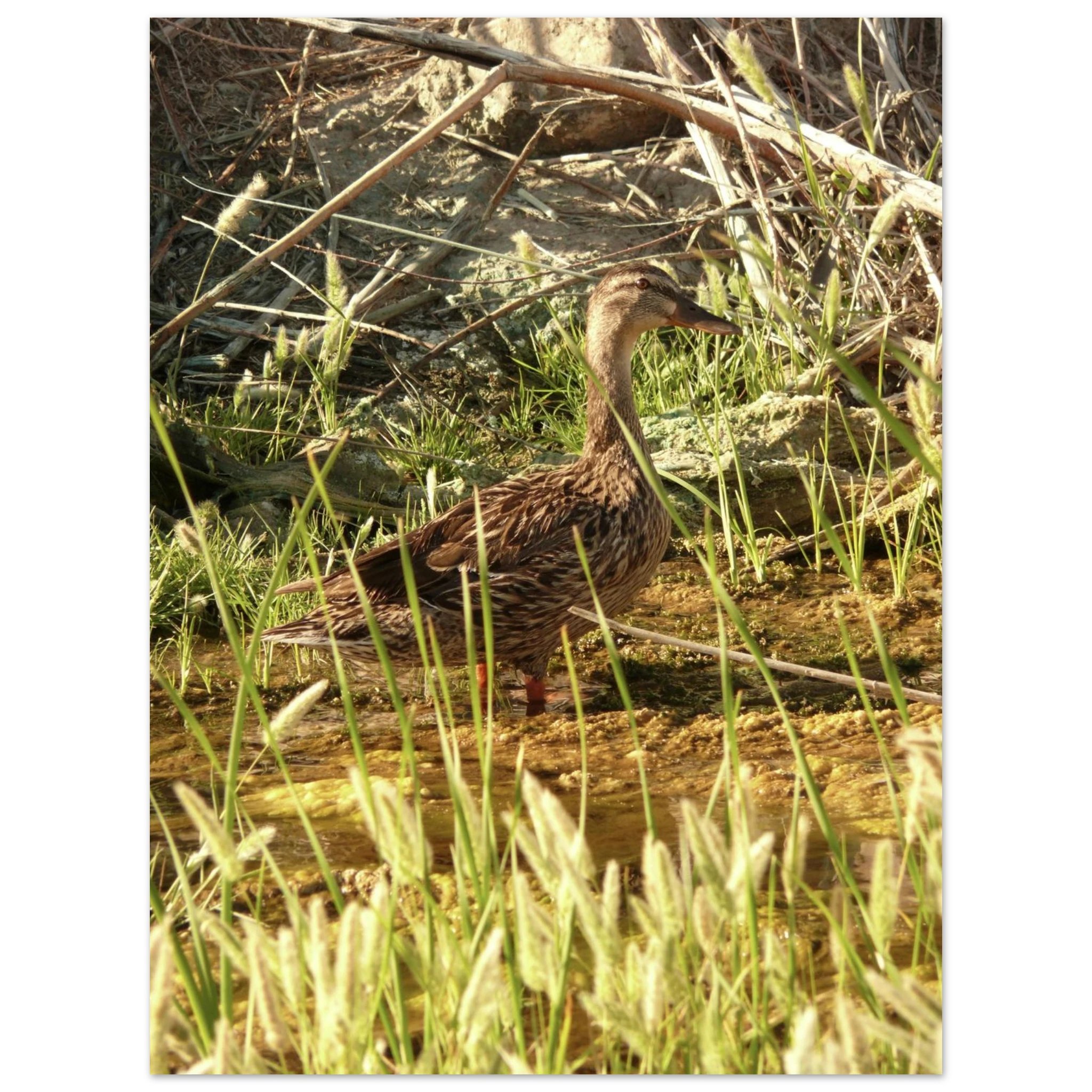 c6fe7e55-5ae0-4a74-8e22-7f34e3416008