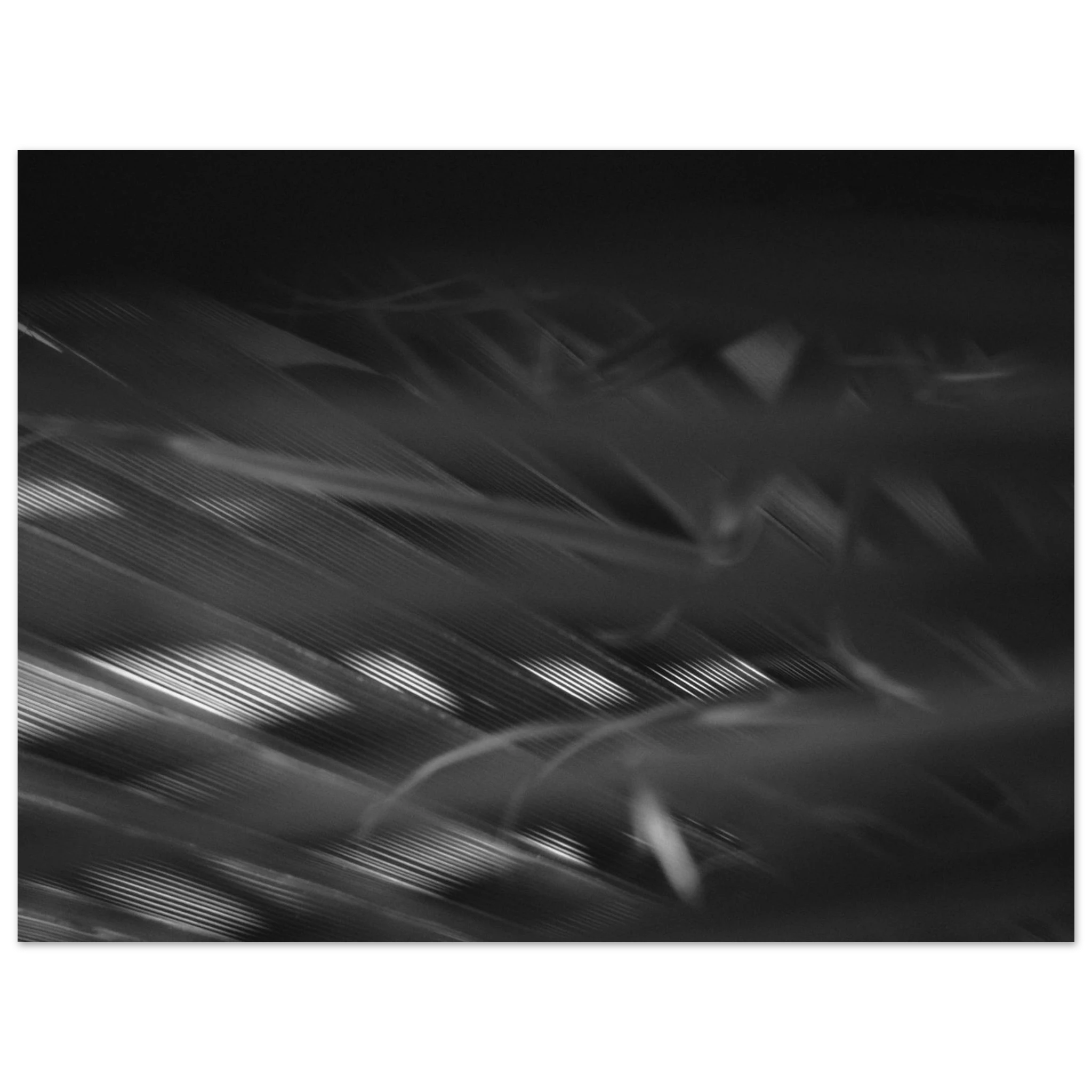 c73c8ea5-8fe6-4ea0-8a92-ac7a1fd9885d