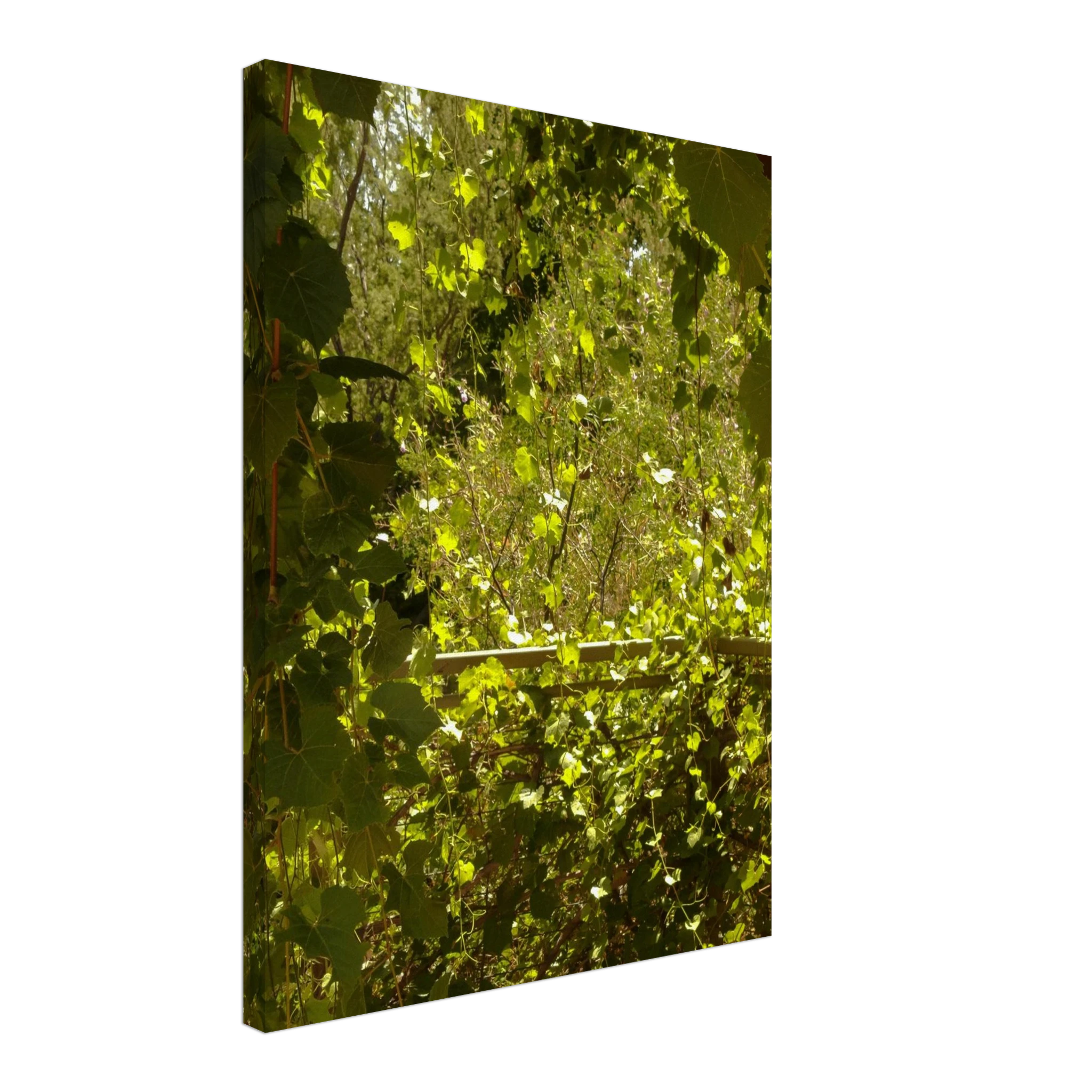 c766df5e-af9f-45e9-80d4-1d17b67e438c