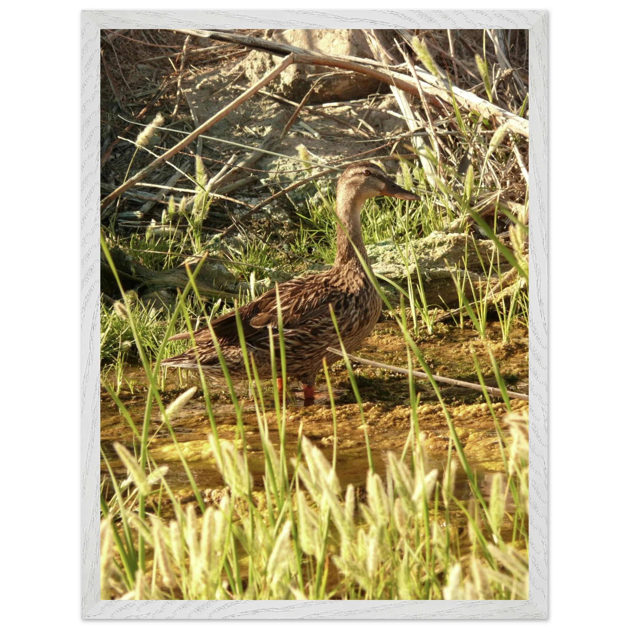 c79cc251-3a22-4f4b-b56b-cf0f5bc6d106