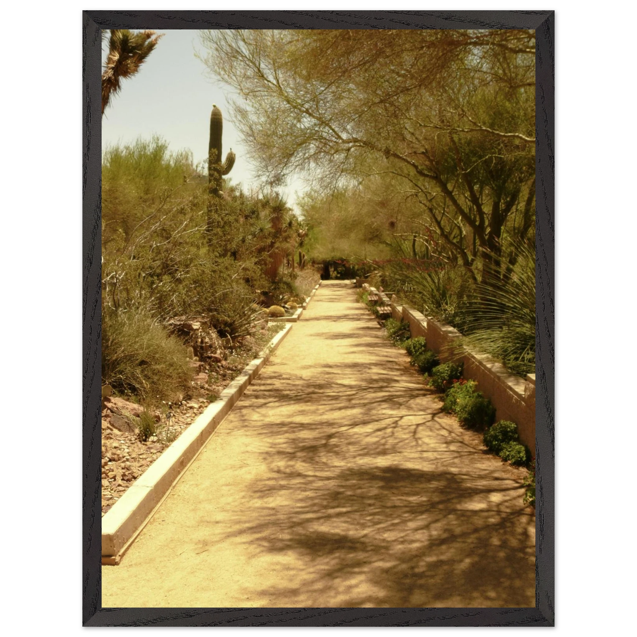 c7c4513d-5485-4cb7-8002-ad7f8897fe16