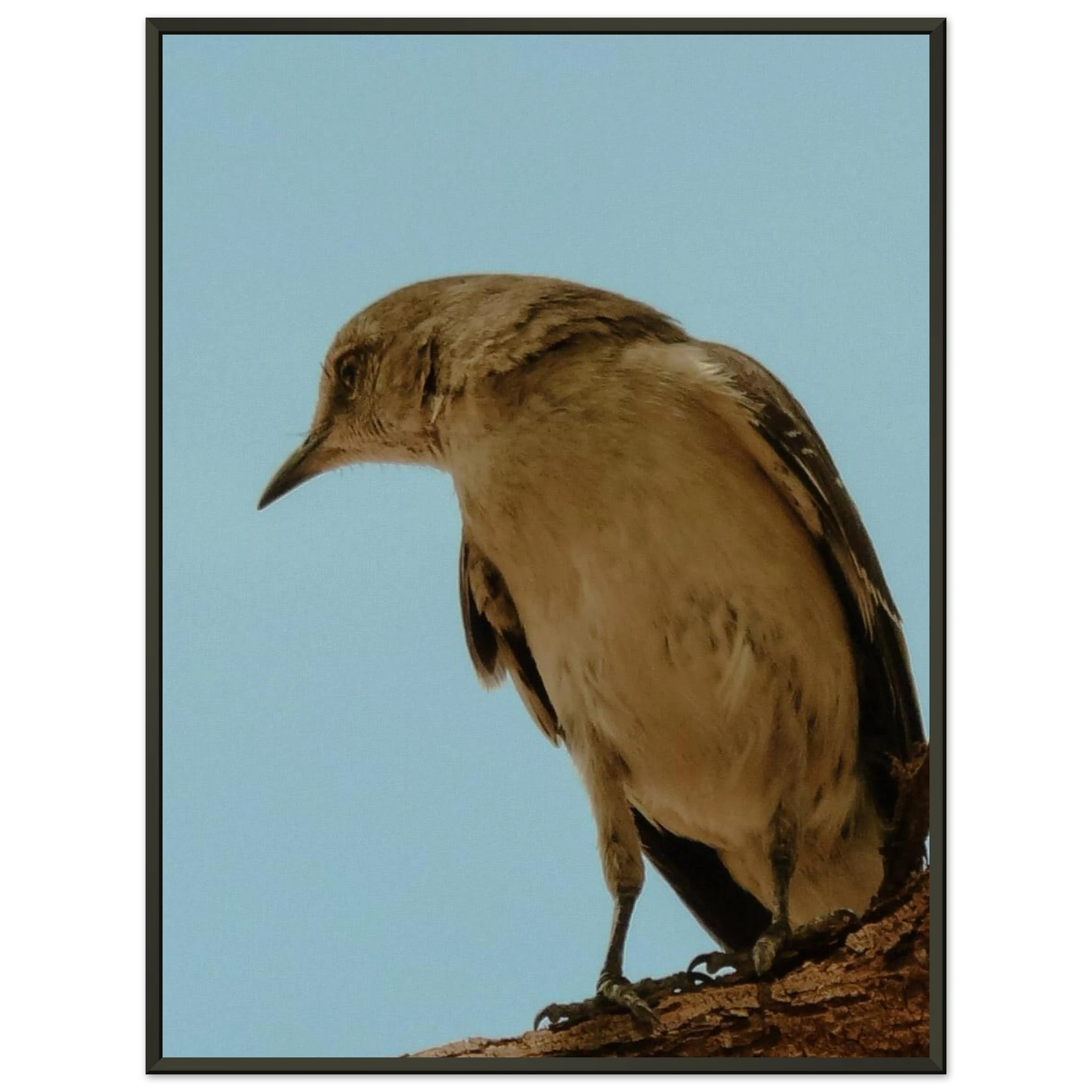 c8174e5d-4f54-4ee3-adf4-62688160da7c