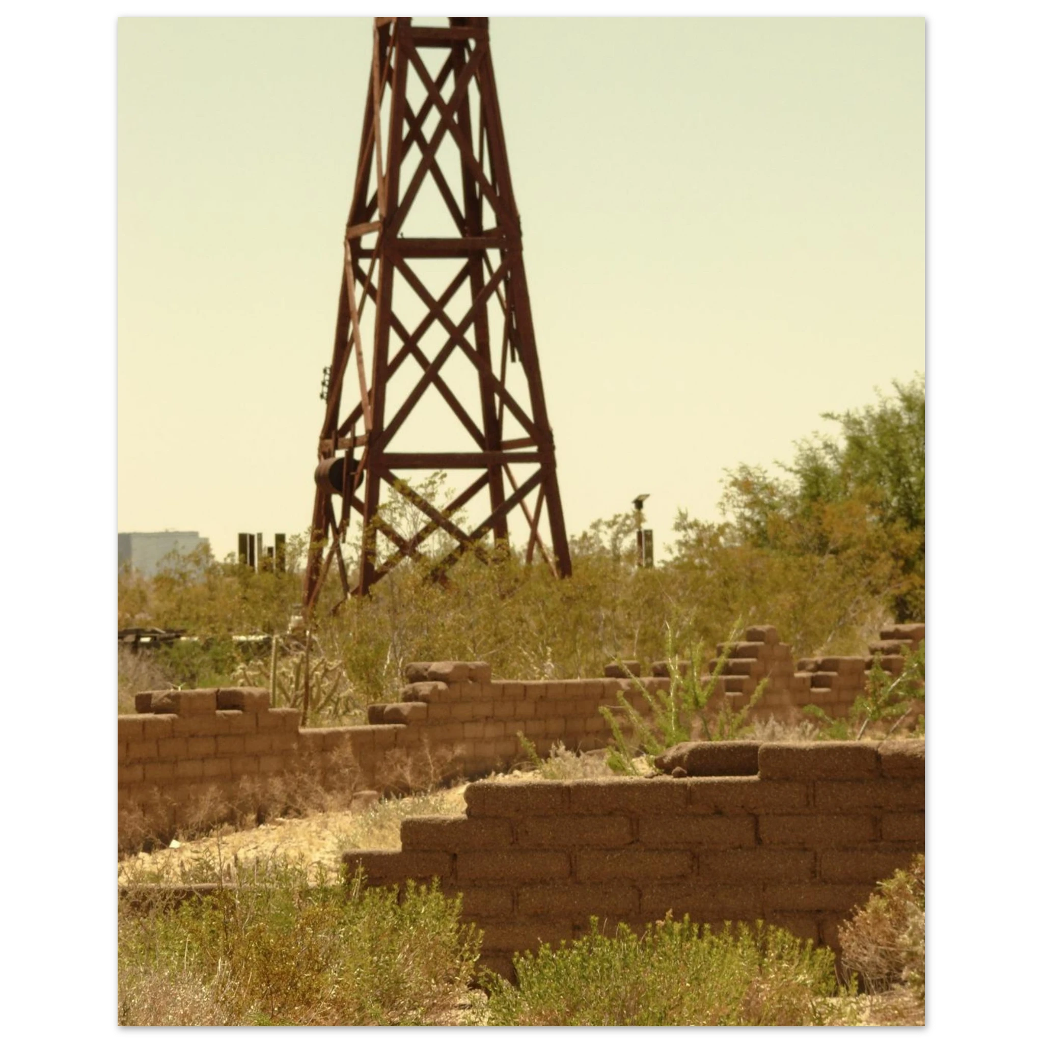 ca5a81d1-5fe7-4ca6-82cf-2000c19bbc07