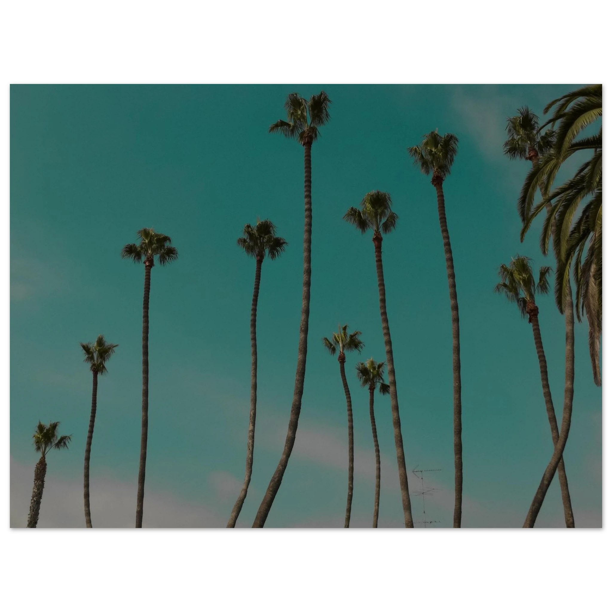 cb8baab0-b251-4805-9ba7-ce5506c30ccb