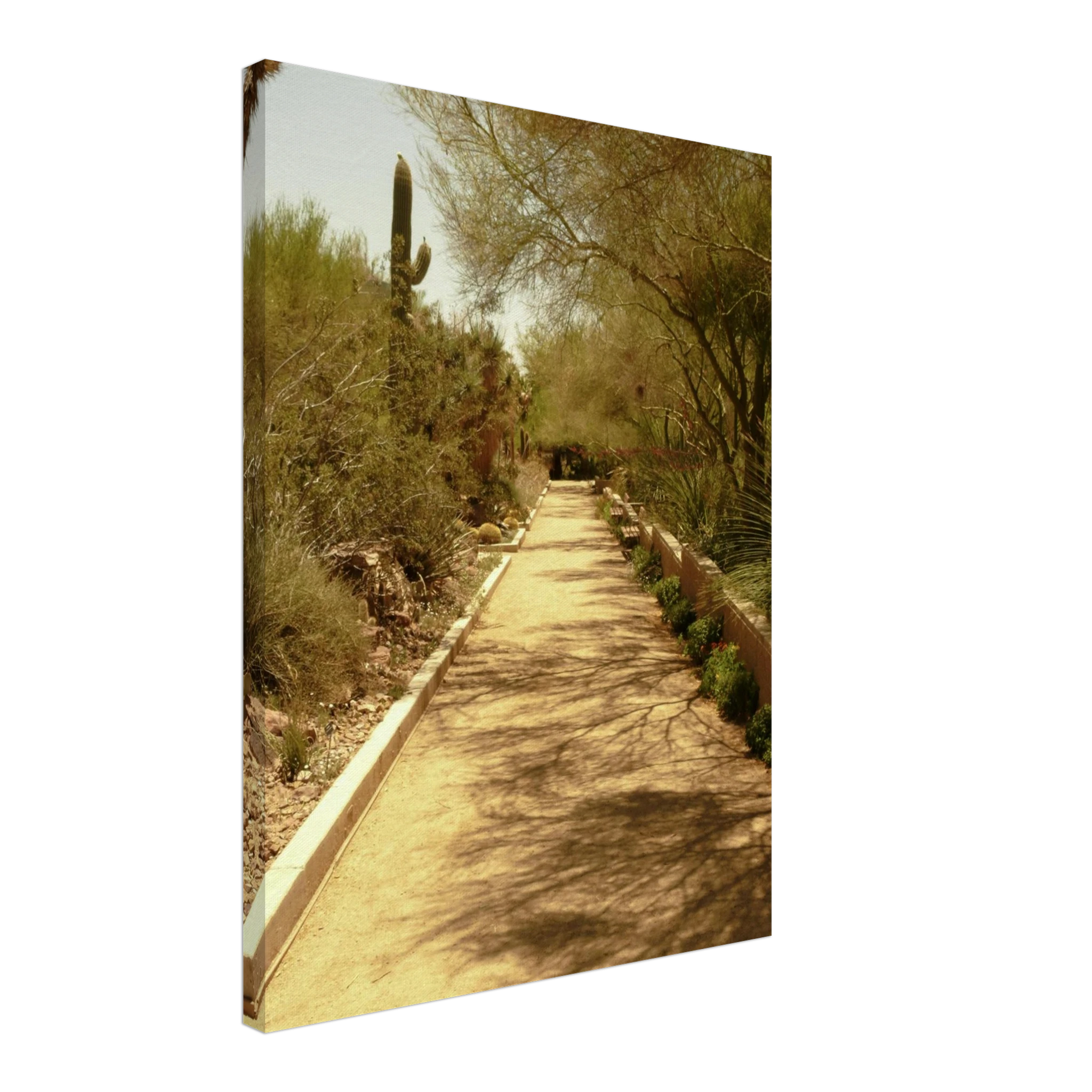 cc403016-27cb-4a3b-a15d-733b4f8b97aa