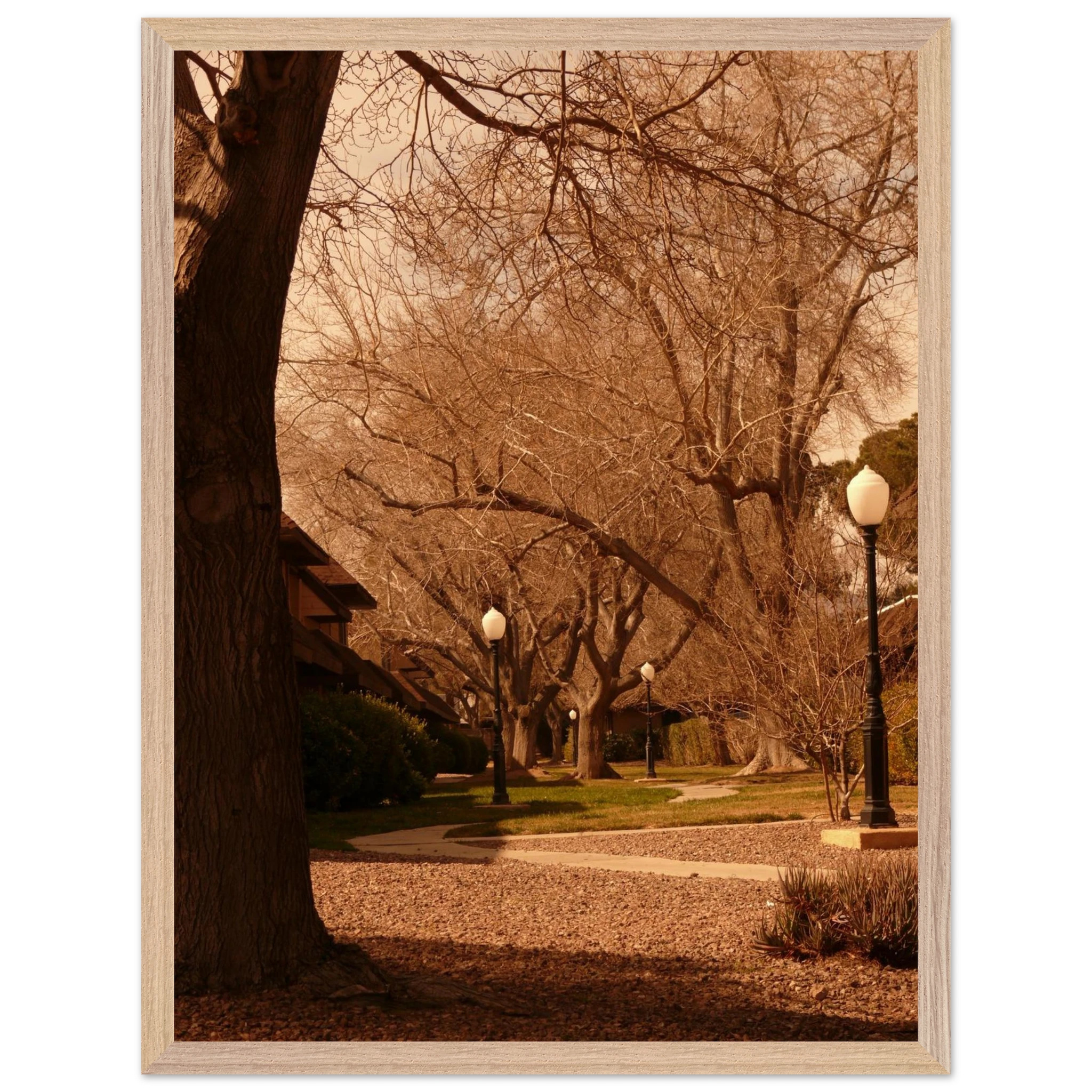 ce0eca21-1c4c-4aaa-8513-4258f21eb2e4