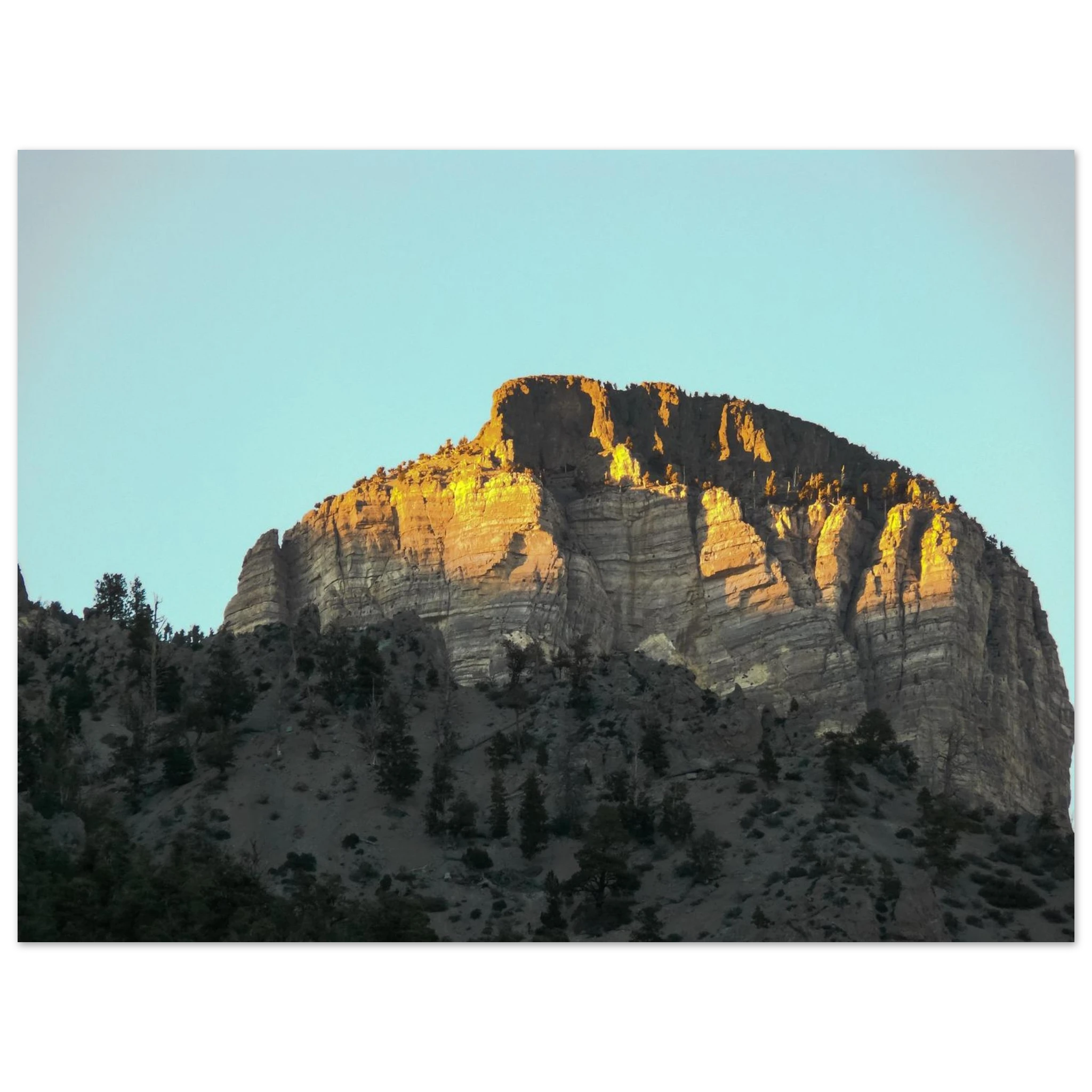 cec8da34-07cd-4a3a-9d15-6285d2ece35e