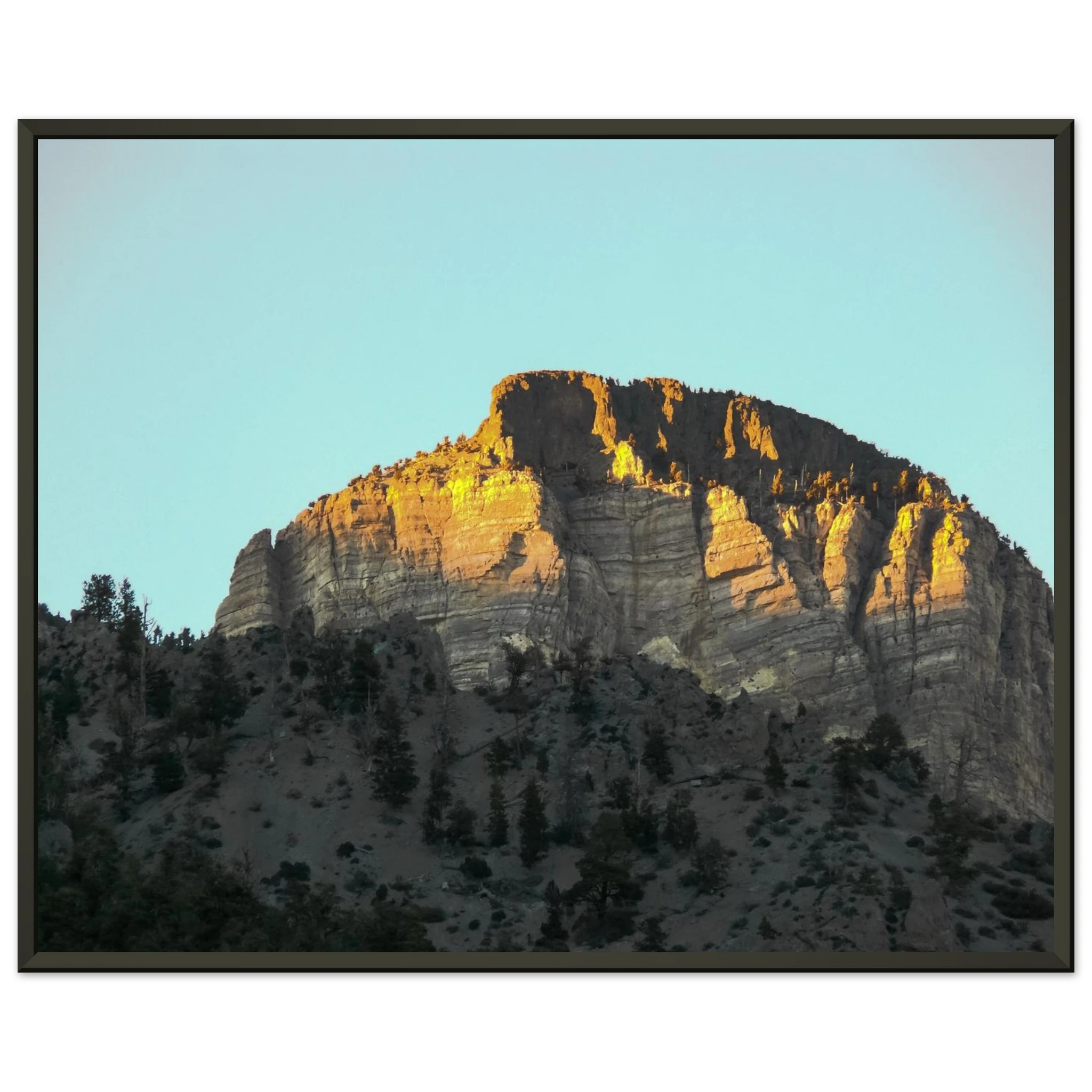 cf72430f-16c5-4506-967c-d27788737df7