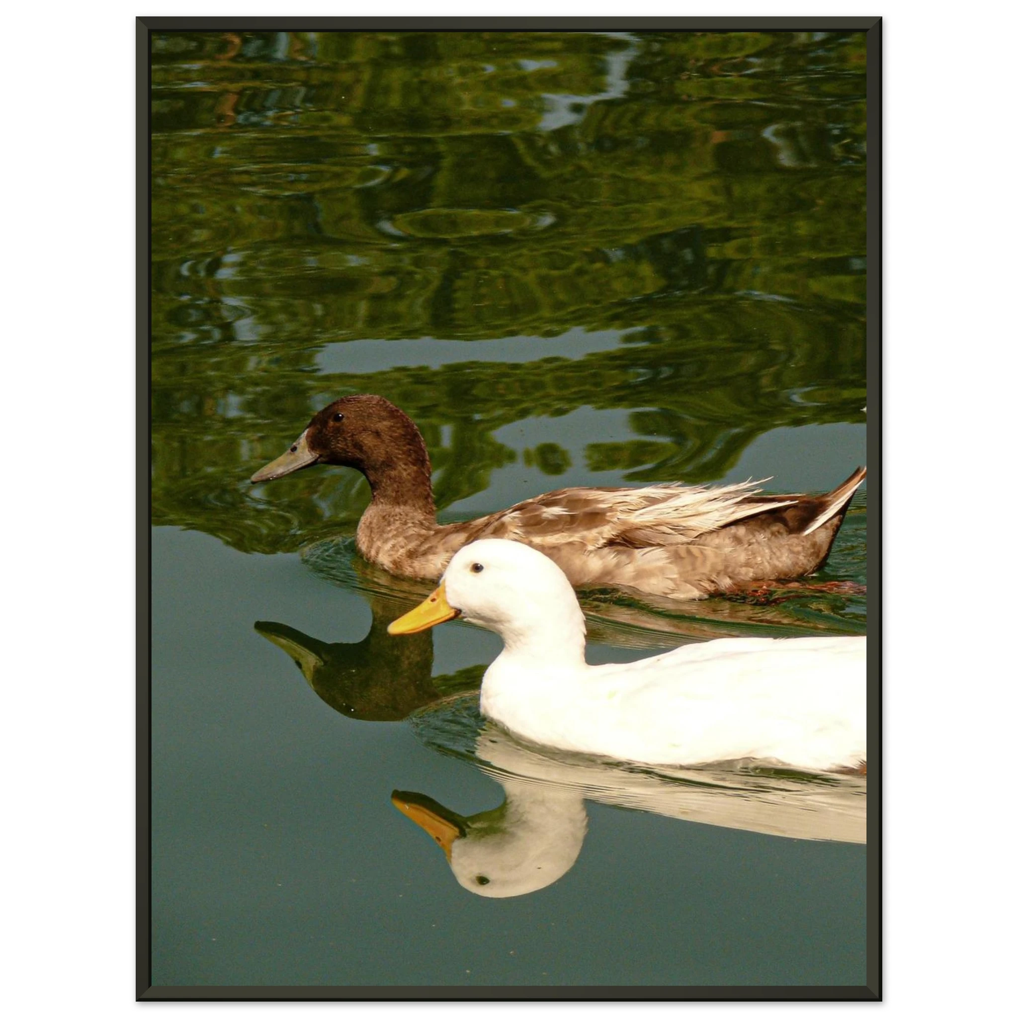 d0c4d095-bd95-467d-9fd3-b0b01a3b9f7c