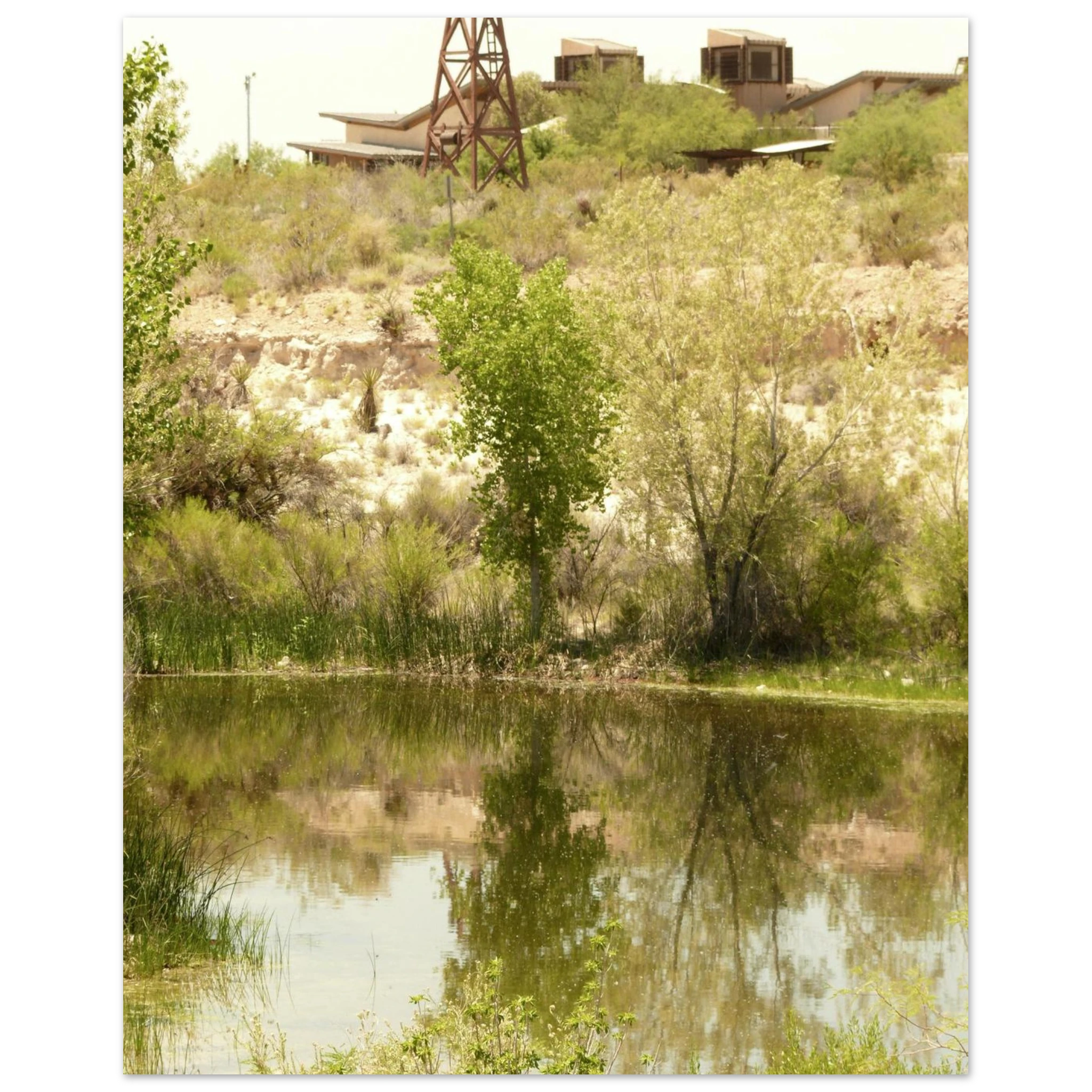 d111cb66-8828-40f9-8295-fdd16023ab88