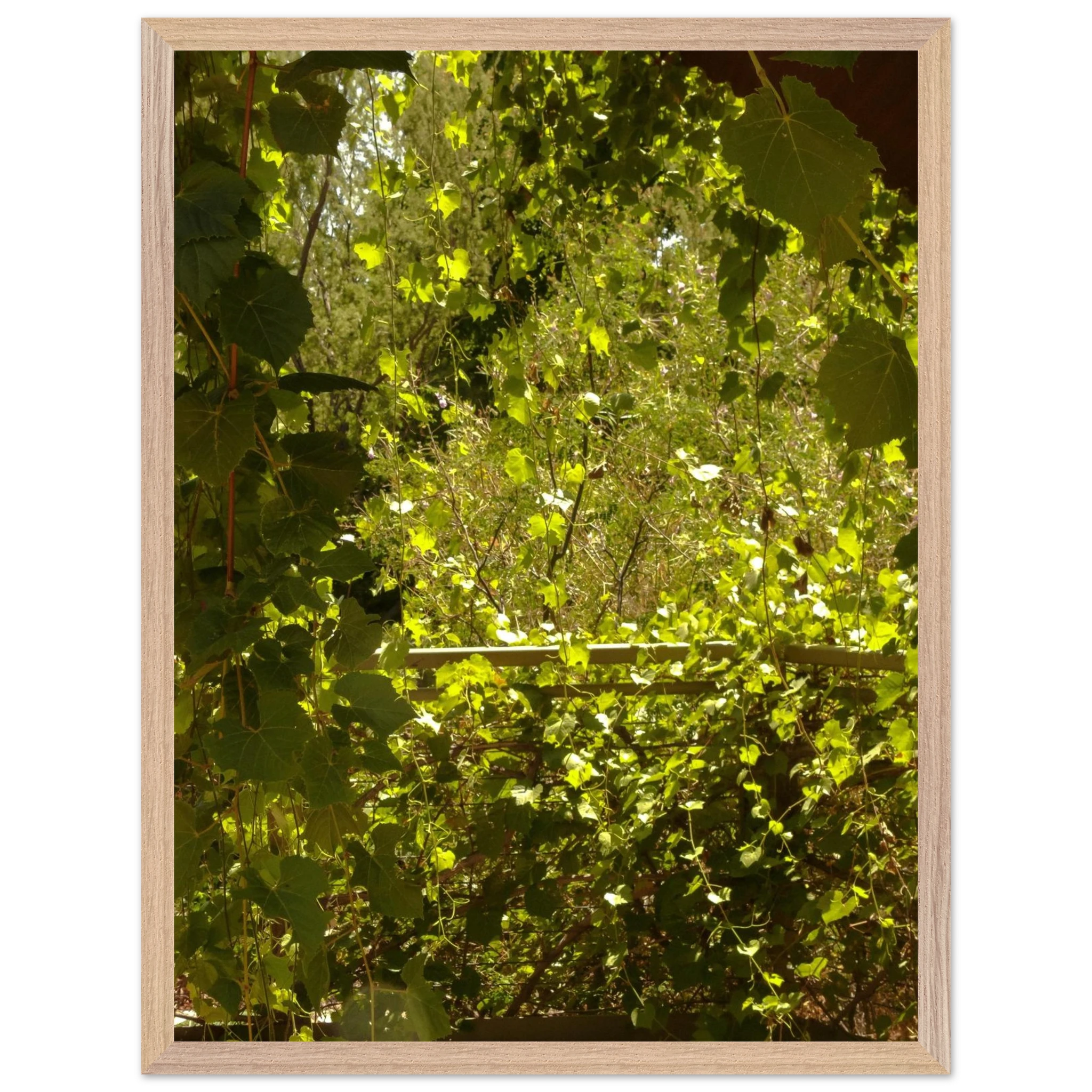 d14c5706-469f-4aed-8add-edc79dc6e010