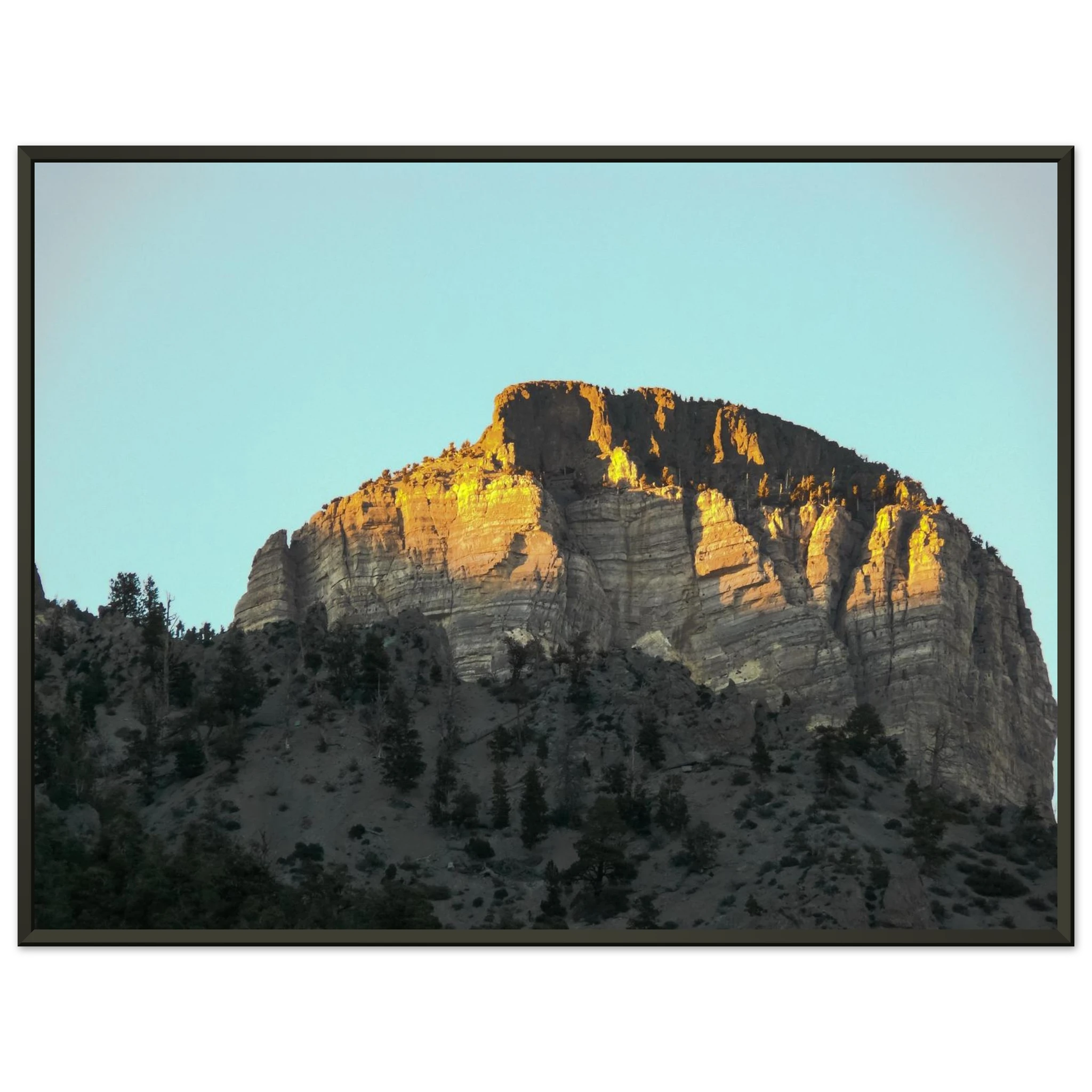 d1fedf17-536a-4948-ab2e-0017b621820c