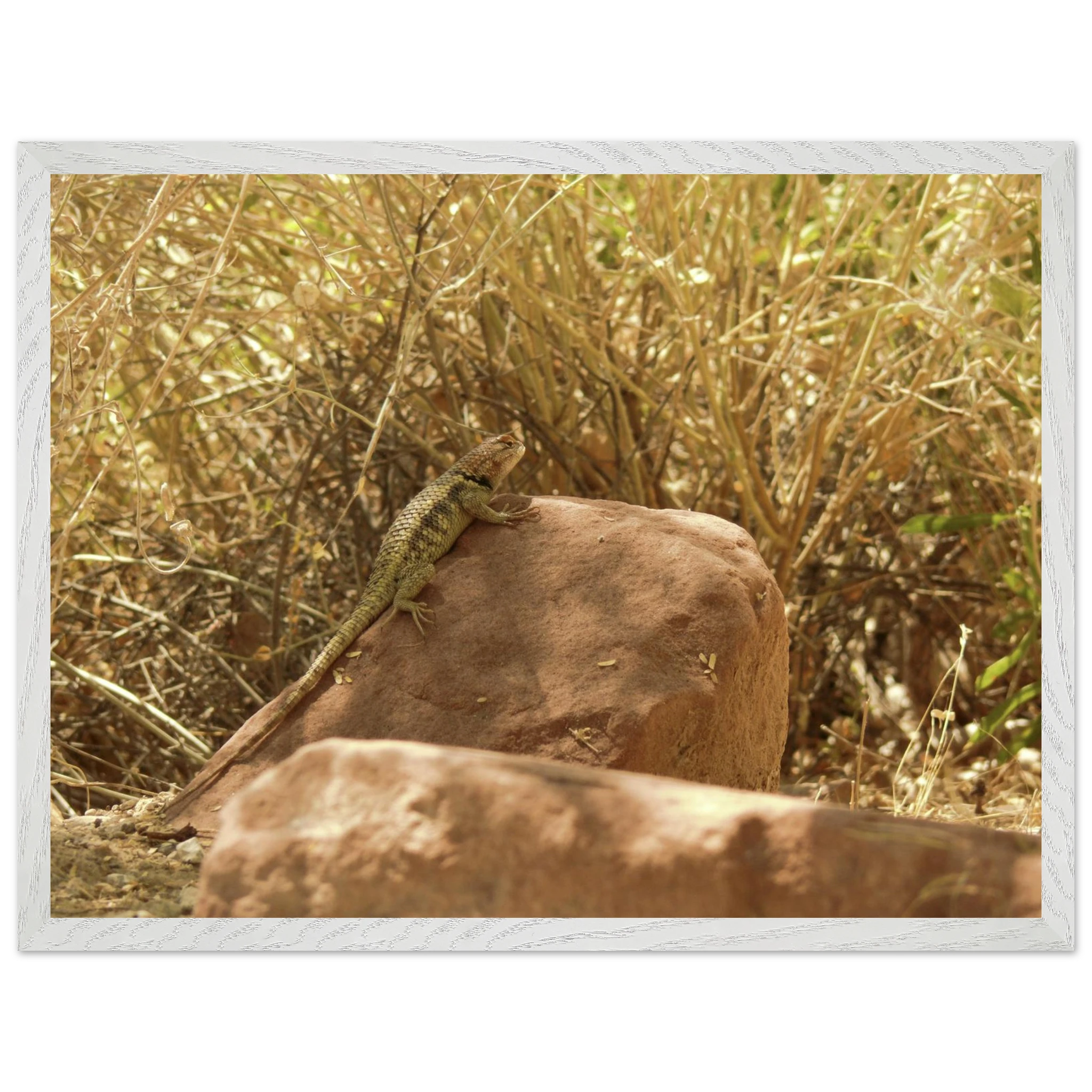 d3088aa7-c330-4bf1-a66b-aa0b9d35a4c1