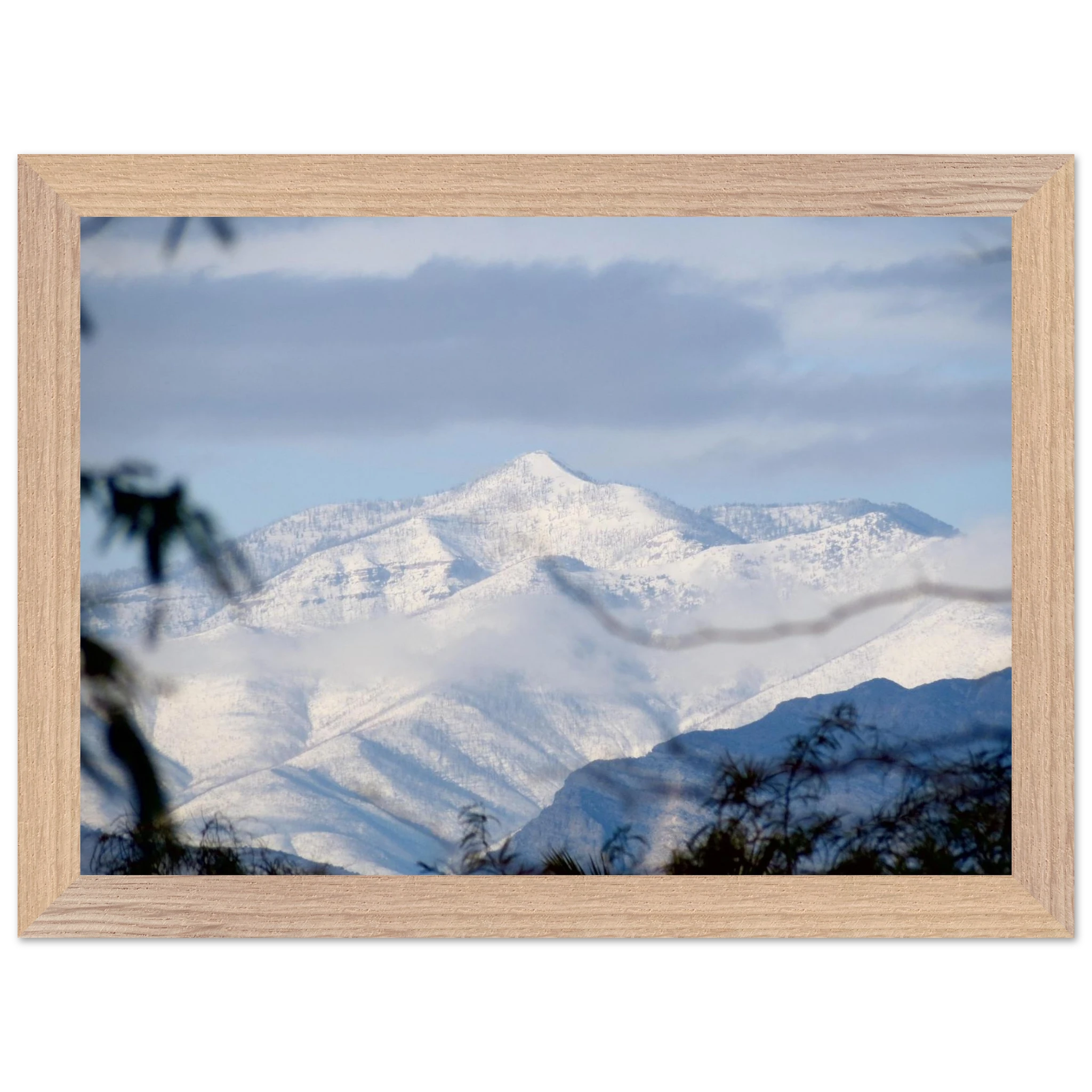 d53fb7e9-821a-4a67-b4c9-56ed87bd7c2f