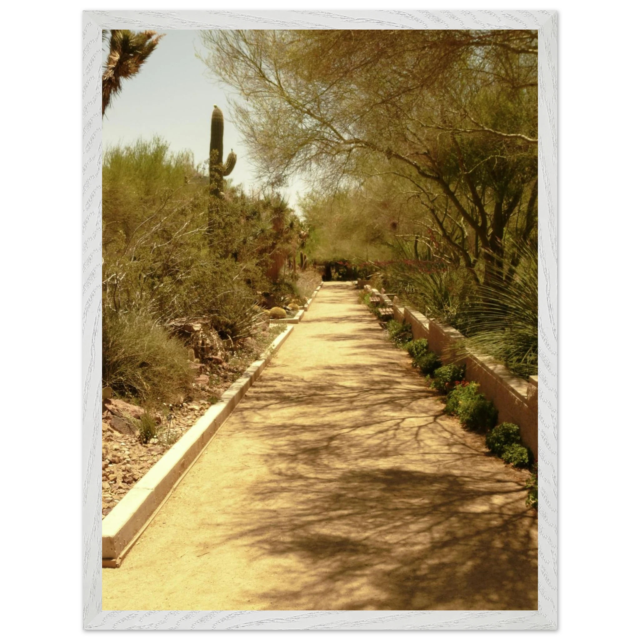 d6346a3b-dfeb-460f-96c8-69556996d6f1