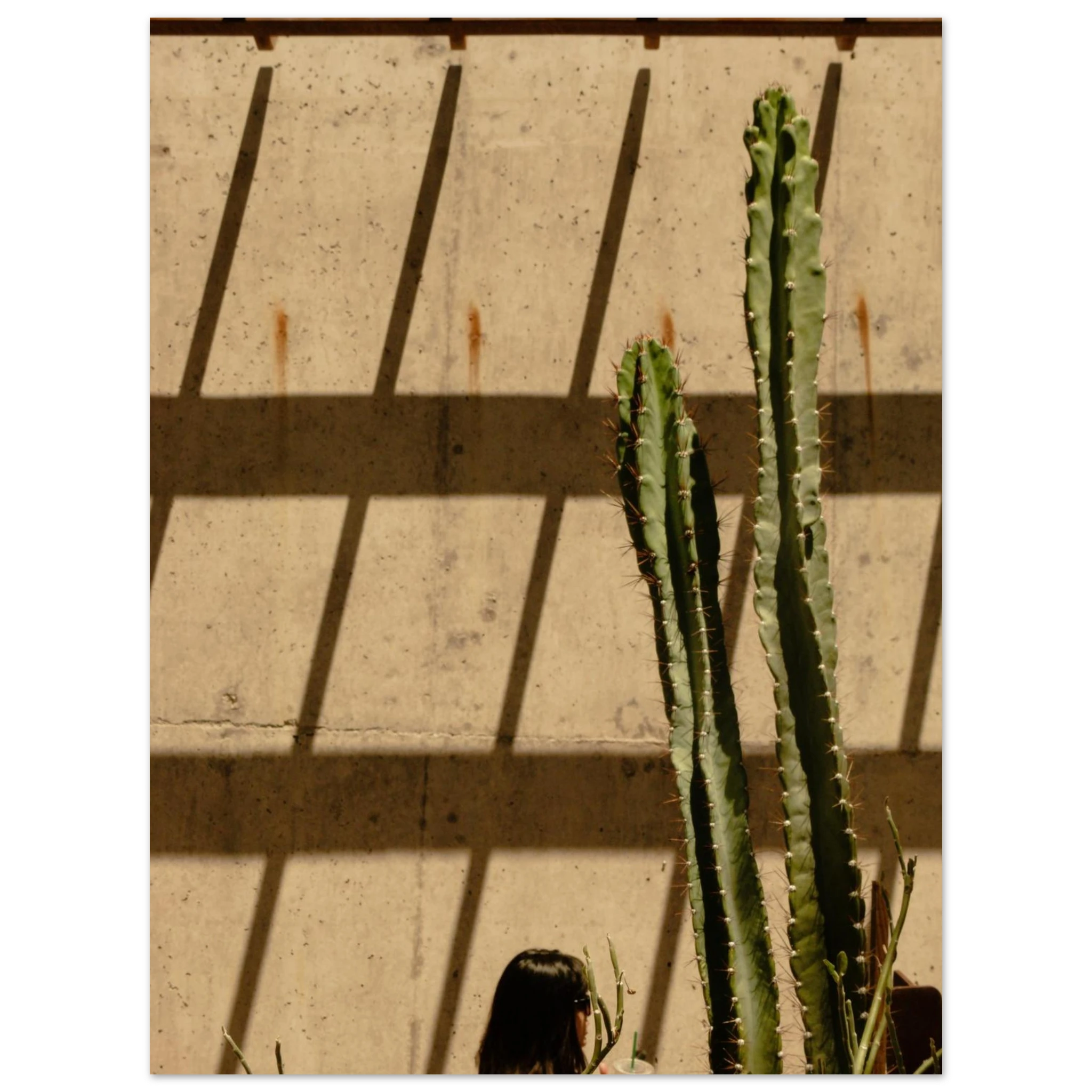 d67b3b84-be90-4907-8925-7bca153565f1