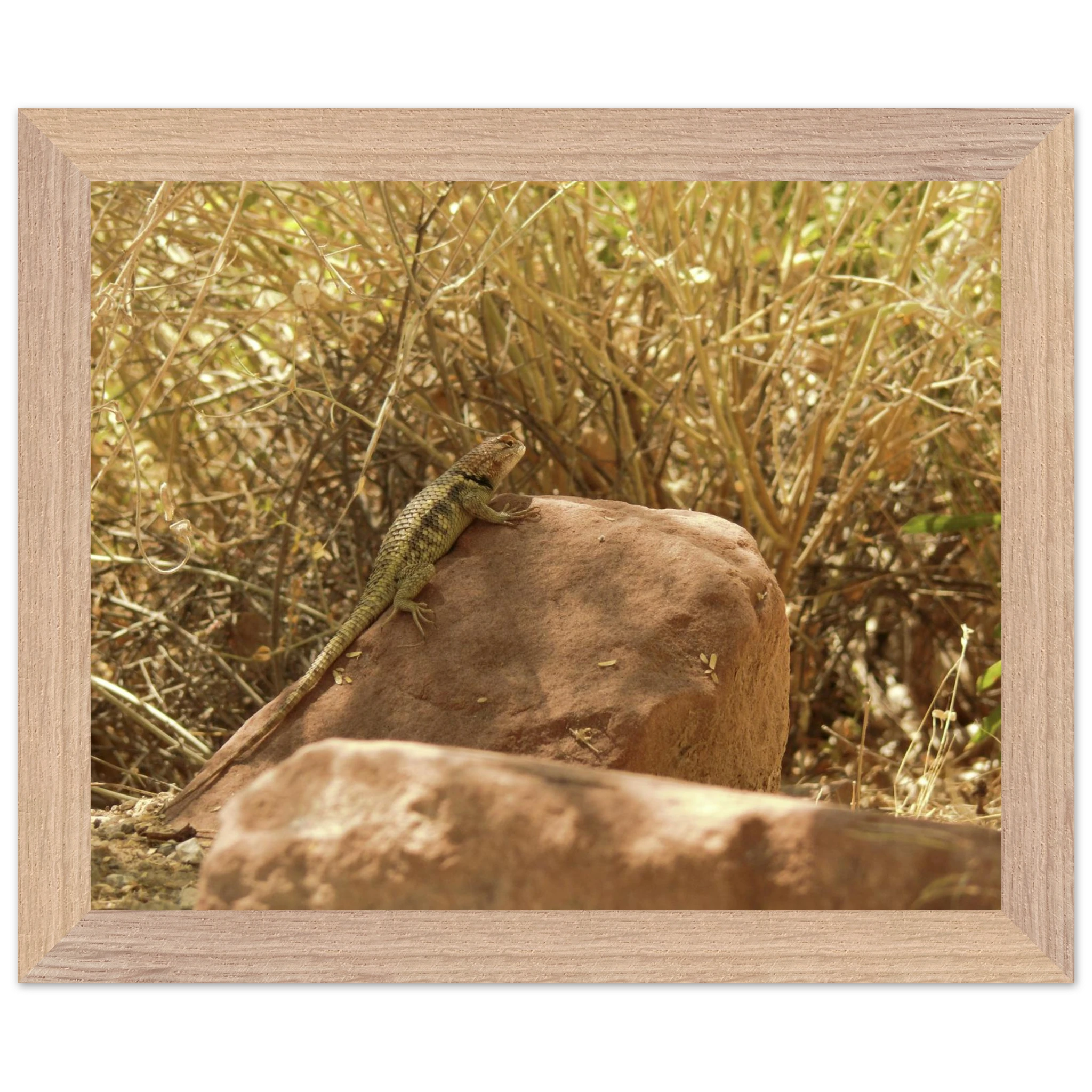 d8021046-4a95-49eb-a4f2-d3dbbc081f39