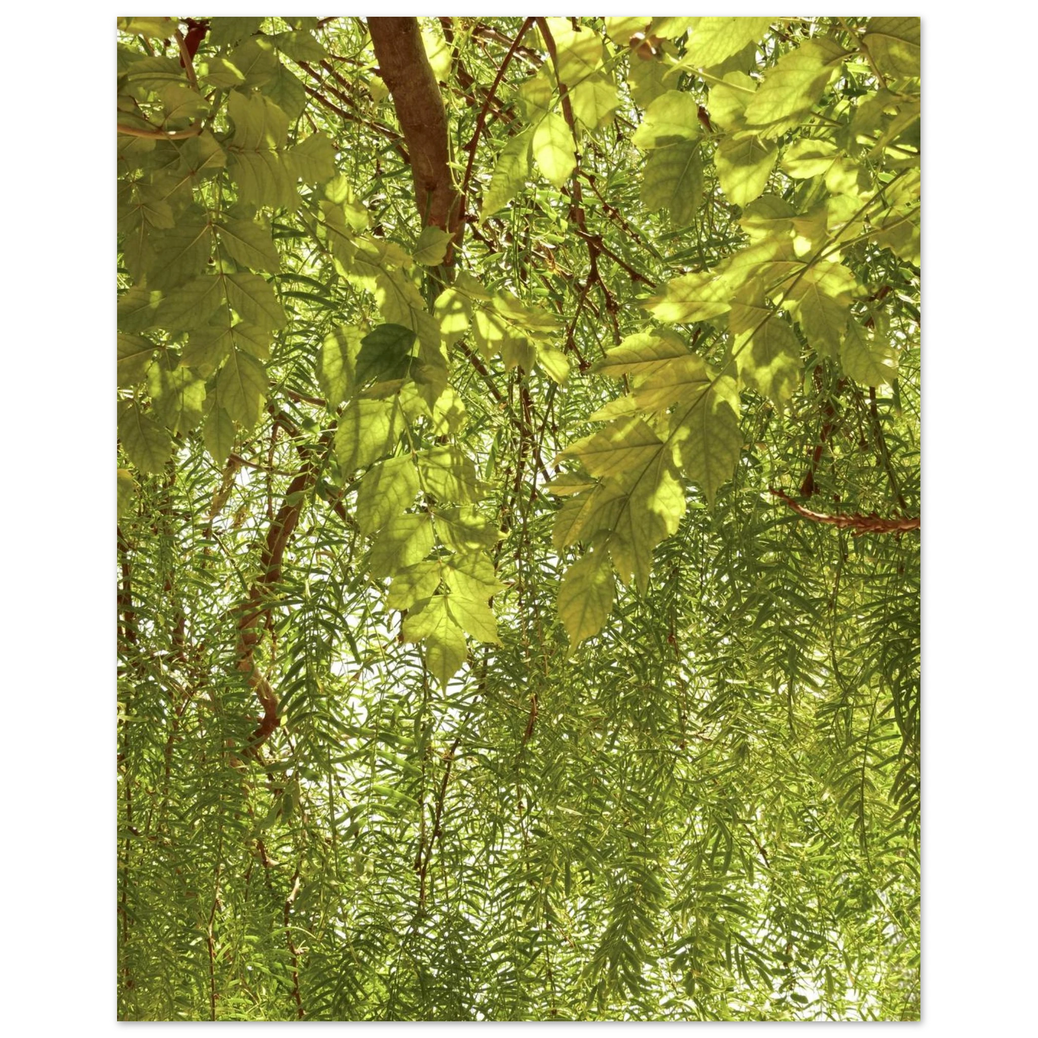 dccf6646-f1b7-461f-89a3-78445641d62b